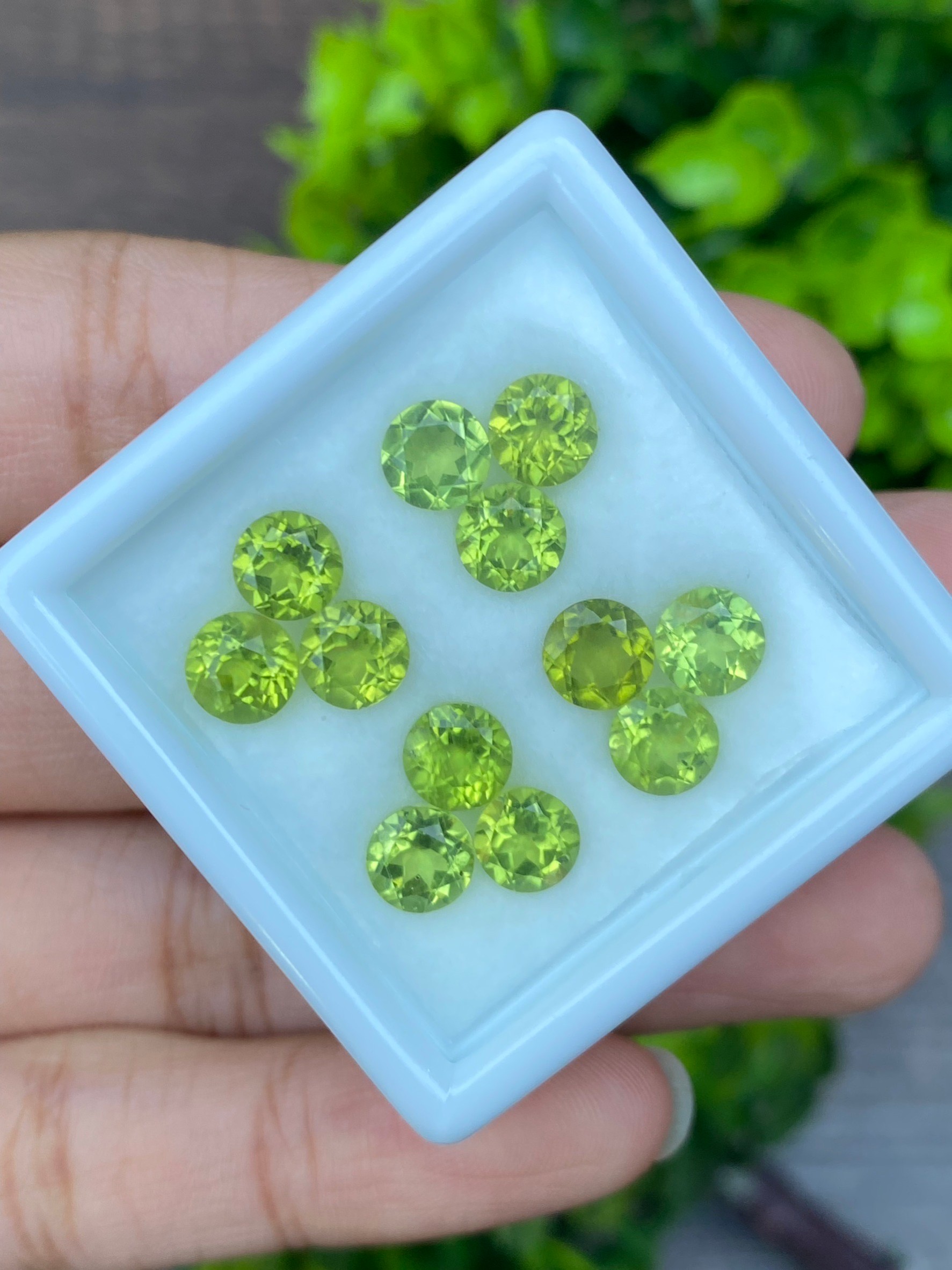 พลอย เพอริดอต Peridot 11.49 กะรัต (Cts.) 10 เม็ด (pcs.) พลอยแท้ อัญมณีมงคลประจําวันเกิด เครื่องประดับพลอย