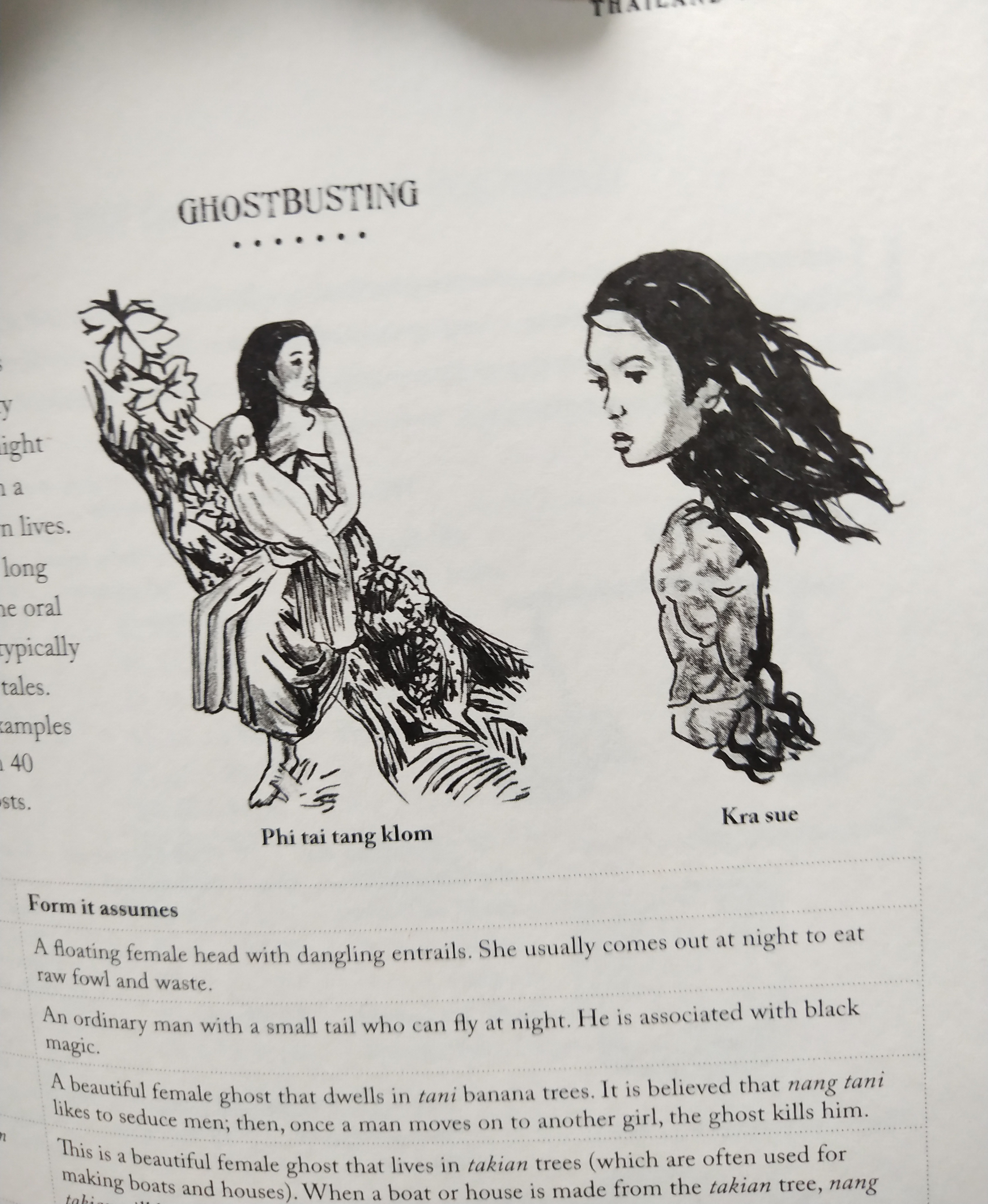 หนังสือภาษาอังกฤษ บันทึกเกี่ยวกับสิ่งต่างๆในประเทศไทย **ปกนอกมีรอยขาดเล็กน้อยตามภาพ,Thailand Random ,Editions Didier Millet, 2012 Printed by Tien Hab Pren, Singapore