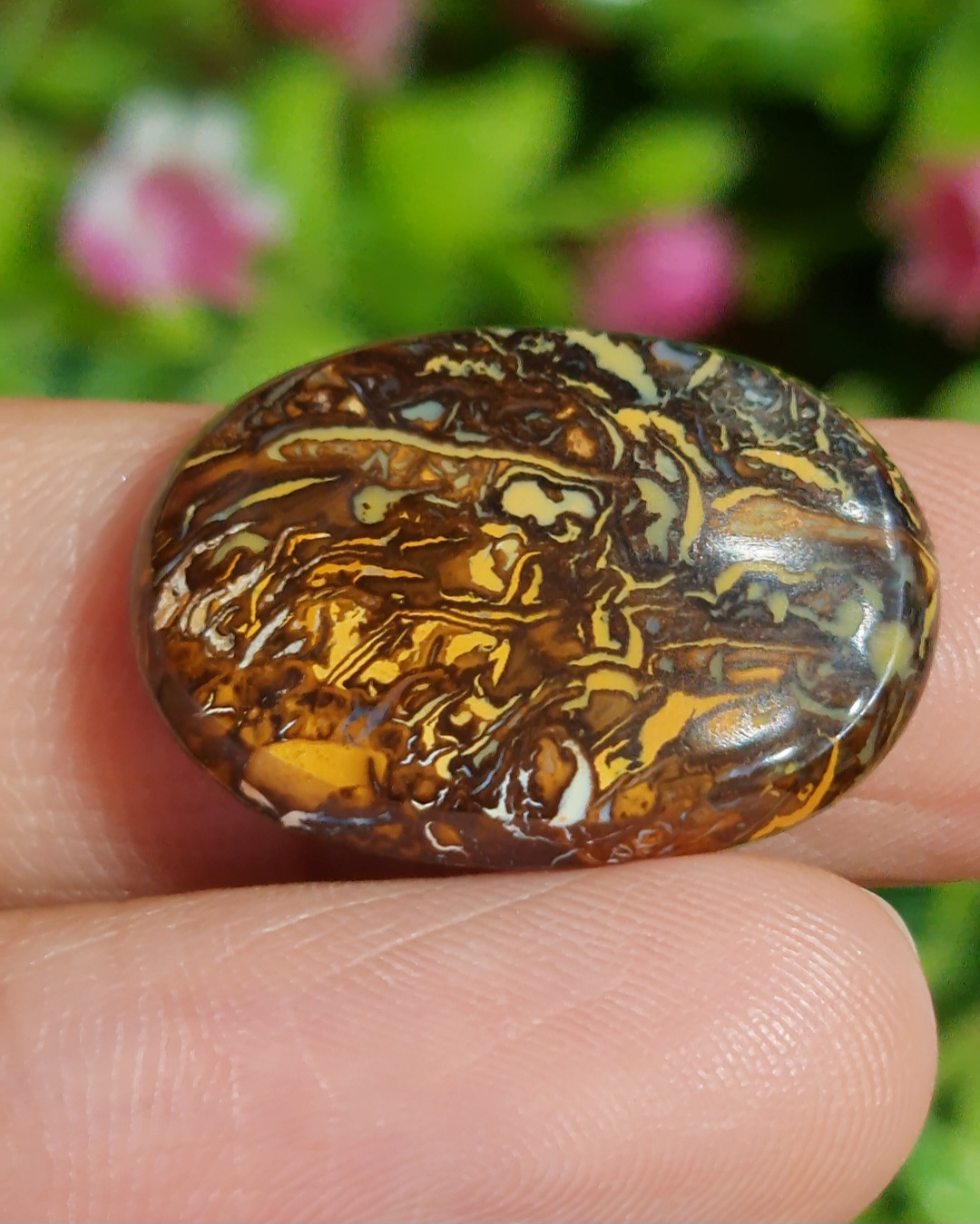 พลอย โบลเดอร์ โอปอล ออสเตรเลีย Australian Boulder Opal 13.50 กะรัต (Cts.) พลอยแท้ อัญมณีมงคลประจําวันเกิด เครื่องประดับพลอย