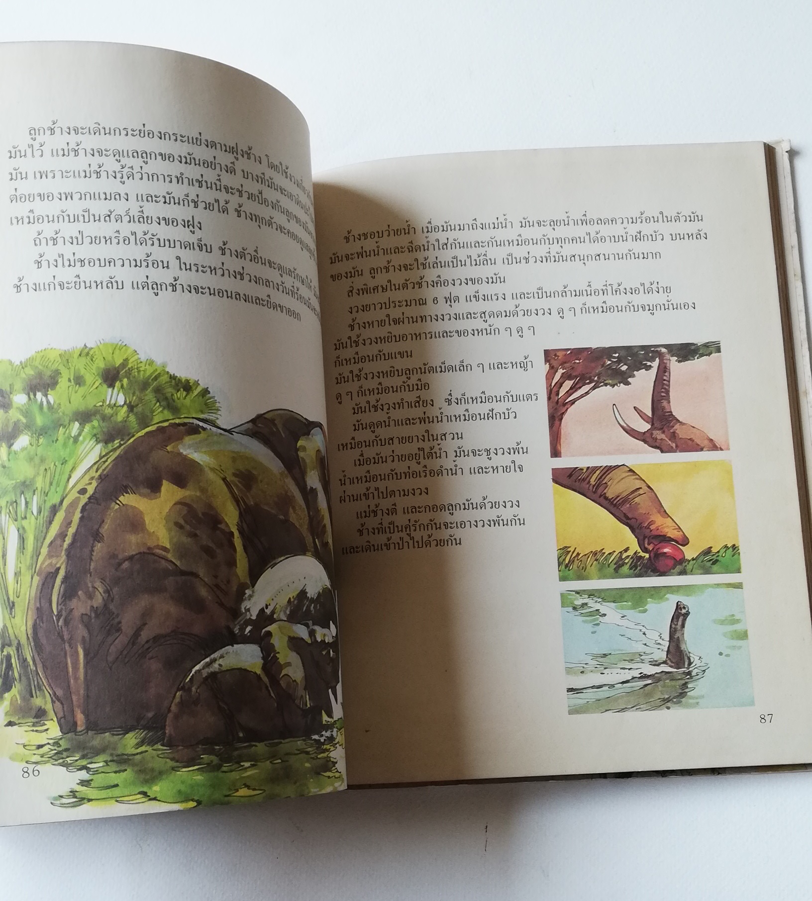 มีหลายภาพ หนังสือภาพการ์ตูนเก่า ปกแข็ง เล่มหนา จาก บริทานิกา เรื่อง สารานุกรมสำหรับเด็ก เล่มที่ 5