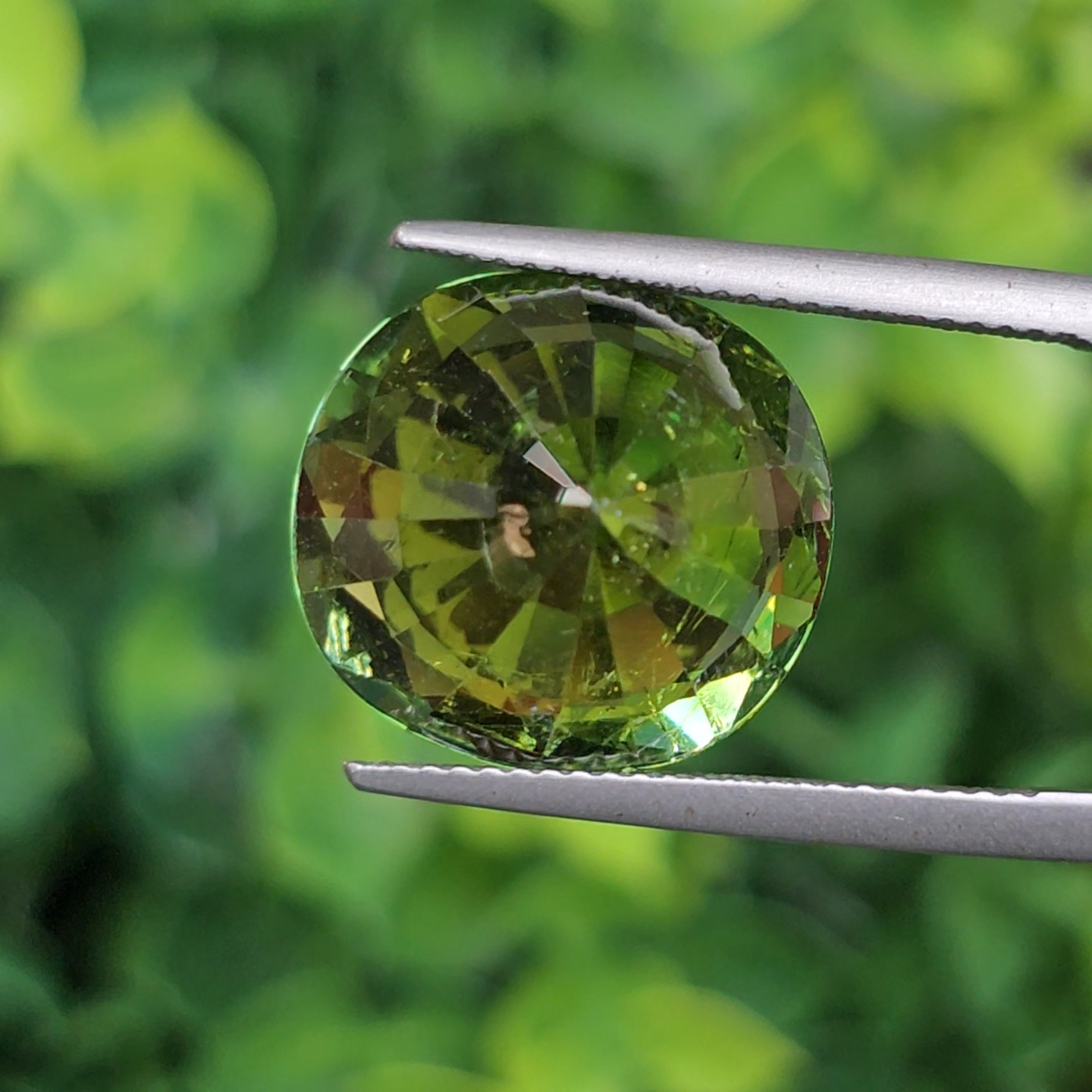 พลอย ทัวร์มาลีน Tourmaline 13.77 กะรัต (Cts.) พลอยแท้อัญมณีมงคล ประจําวันเกิด เครื่องประดับพลอย
