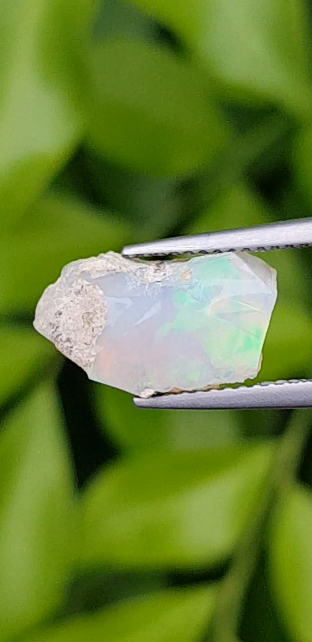 พลอย โอปอล Opal 4.23 กะรัต (Cts.)