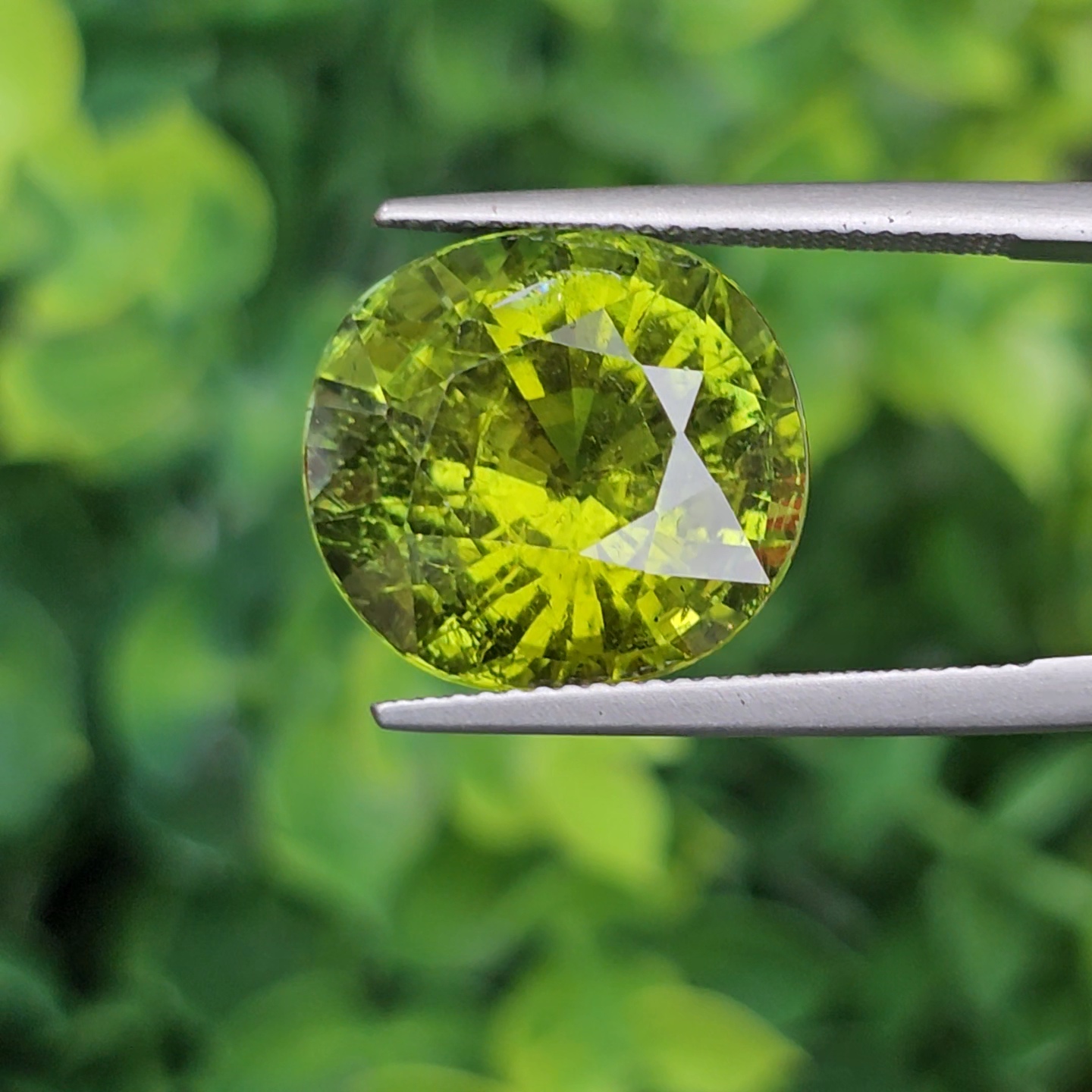 พลอย ทัวร์มาลีน Tourmaline 13.77 กะรัต (Cts.) พลอยแท้อัญมณีมงคล ประจําวันเกิด เครื่องประดับพลอย