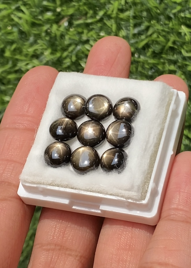 พลอย แบล็ค สตาร์ แซฟไฟร์ Black Star Sapphire 25.10 กะรัต (Cts.) 9 เม็ด ดิบ Unheated