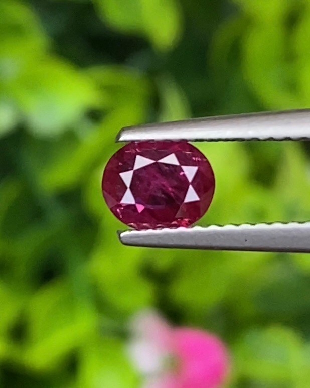 พลอย ทับทิม สยาม Siam Ruby sapphire 0.59 กะรัต (Cts.) พร้อมใบเซอร์ *สีพิเศษ Vivid Red* พลอยแท้ อัญมณีมงคลประจําวันเกิด เครื่องประดับพลอย