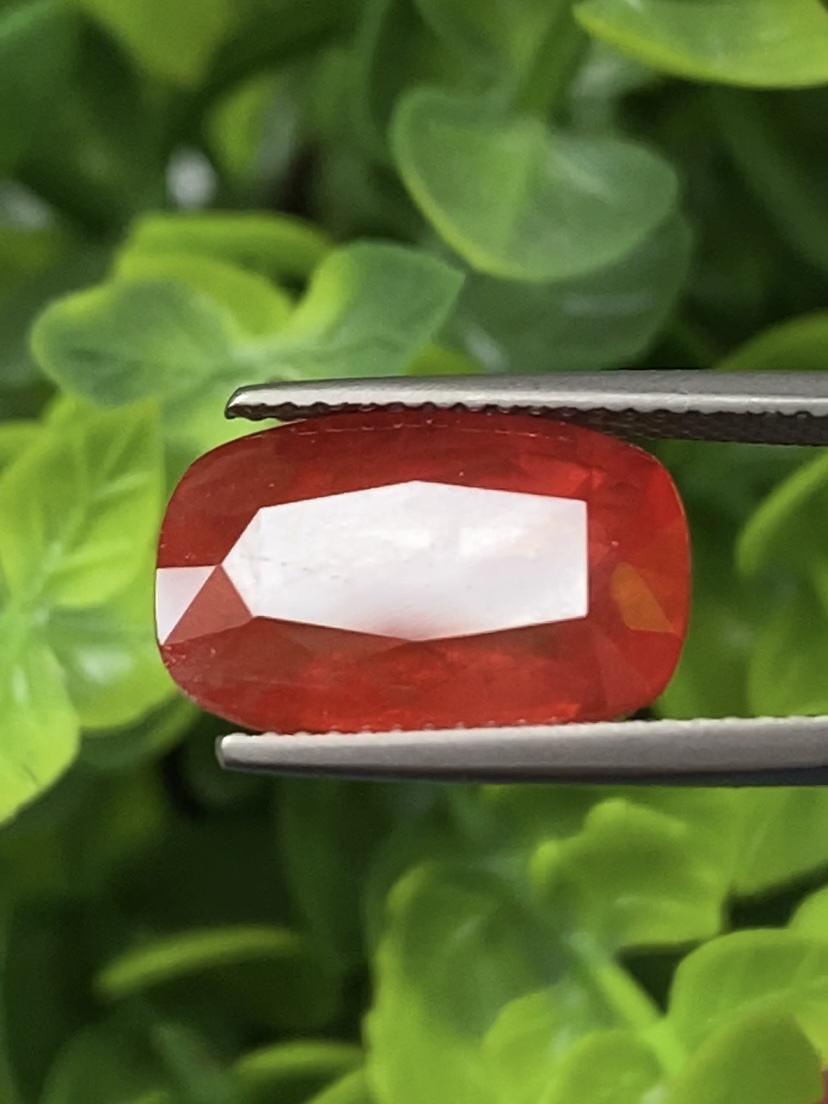 พลอย ซองเจีย แซฟไฟร์ Songea Sapphire 10.57 กะรัต (Cts.) พร้อมใบเซอร์ พลอยแท้ อัญมณีมงคลประจําวันเกิด เครื่องประดับพลอย