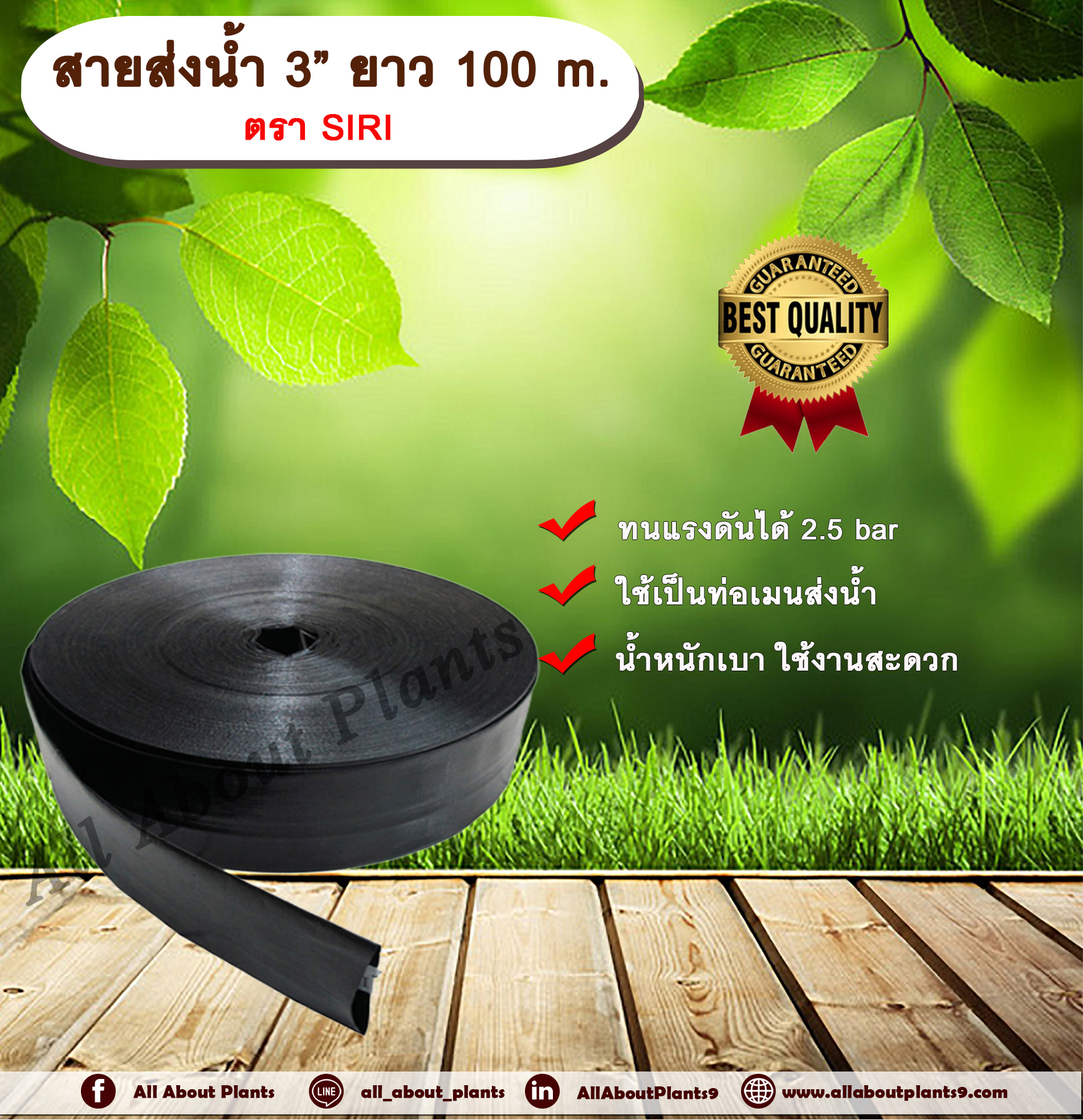 สายส่งน้ำ 3” ยาว 100 m. ตรา SIRI สายส่งน้ำ สีดำ 3นิ้ว ยาว 100เมตร สายสำหรับส่งน้ำ ส่งน้ำสำหรับทำเกษตร สามารถใช้แทนท่อ PVC ได้ allaboutplants ชิ้น