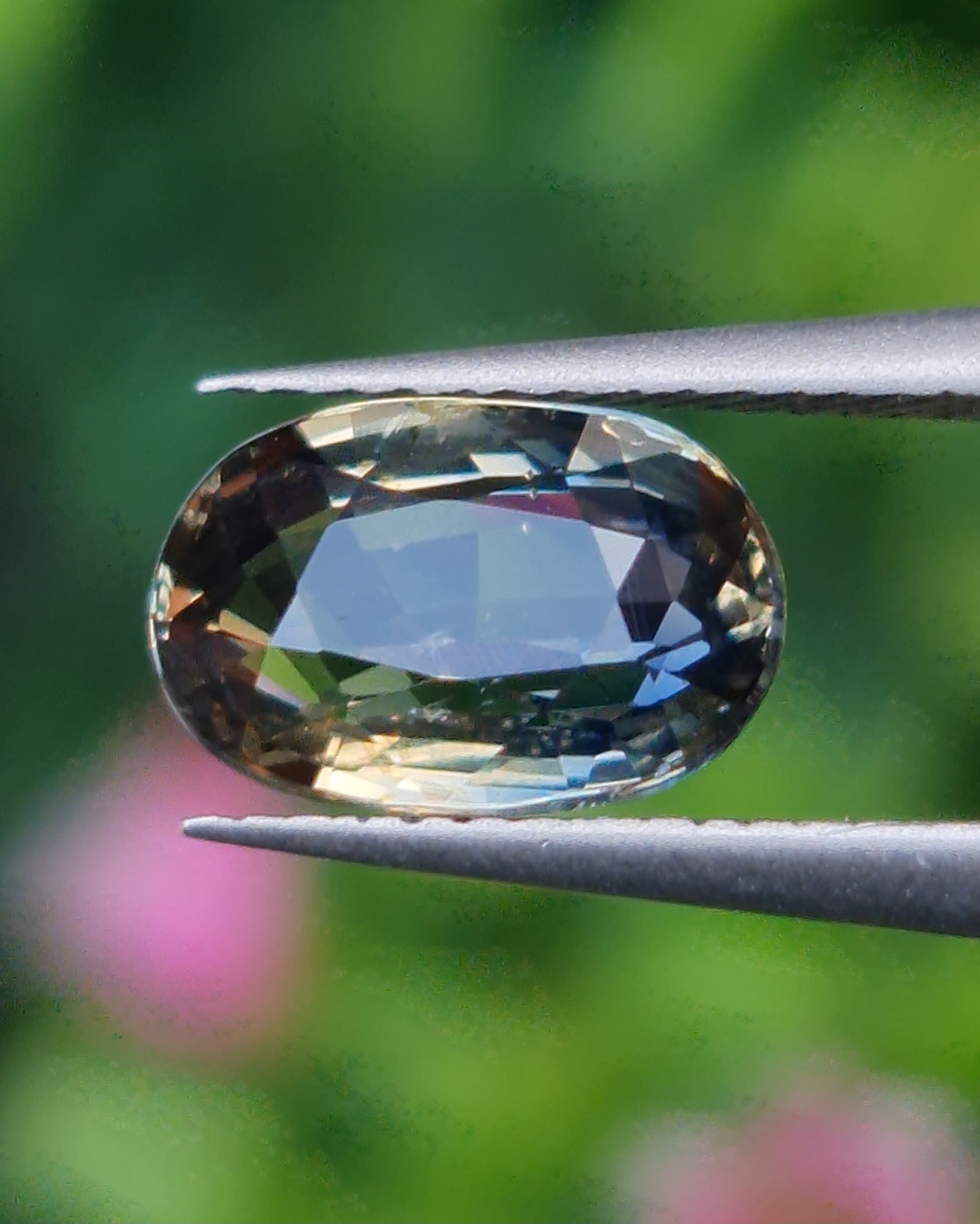 พลอย แซฟไฟร์ 2 สี Bi-Color Sapphire 2.05 กะรัต (Cts.) พลอยแท้ อัญมณีมงคลประจําวันเกิด เครื่องประดับพลอย