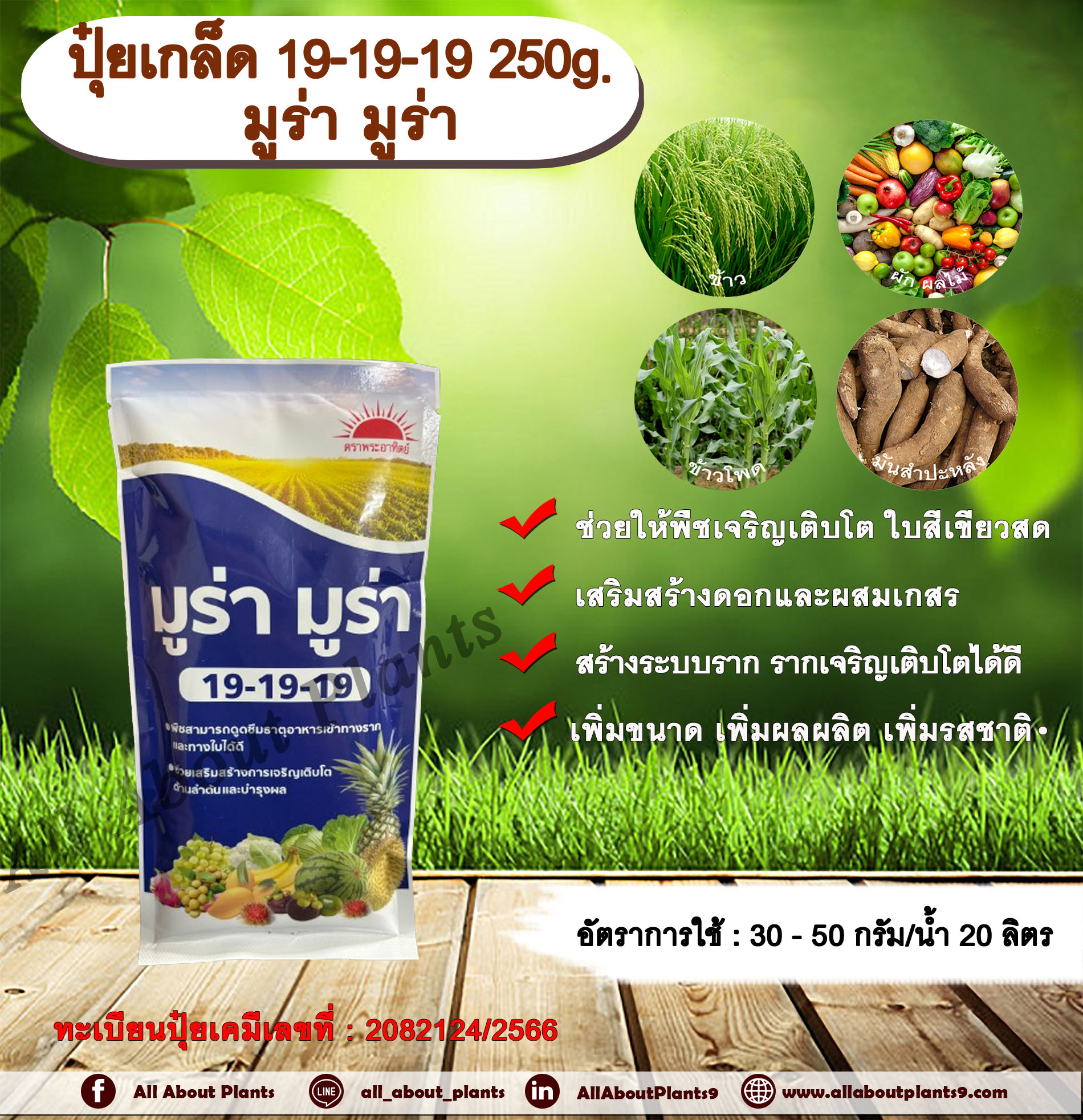 ปุ๋ยเกล็ด 19-19-19 250g. มูร่า มูร่า ช่วยให้พืชเจริญเติบโต ใบสีเขียวสด เสริมสร้างดอก ผสมเกสร สร้างระบบราก รากเจริญเติบโต เพิ่มขนาด เพิ่มผลผลิต เพิ่มรสชาติ ทุกช่วงการเจริญเติบโตของพืช ชิ้น