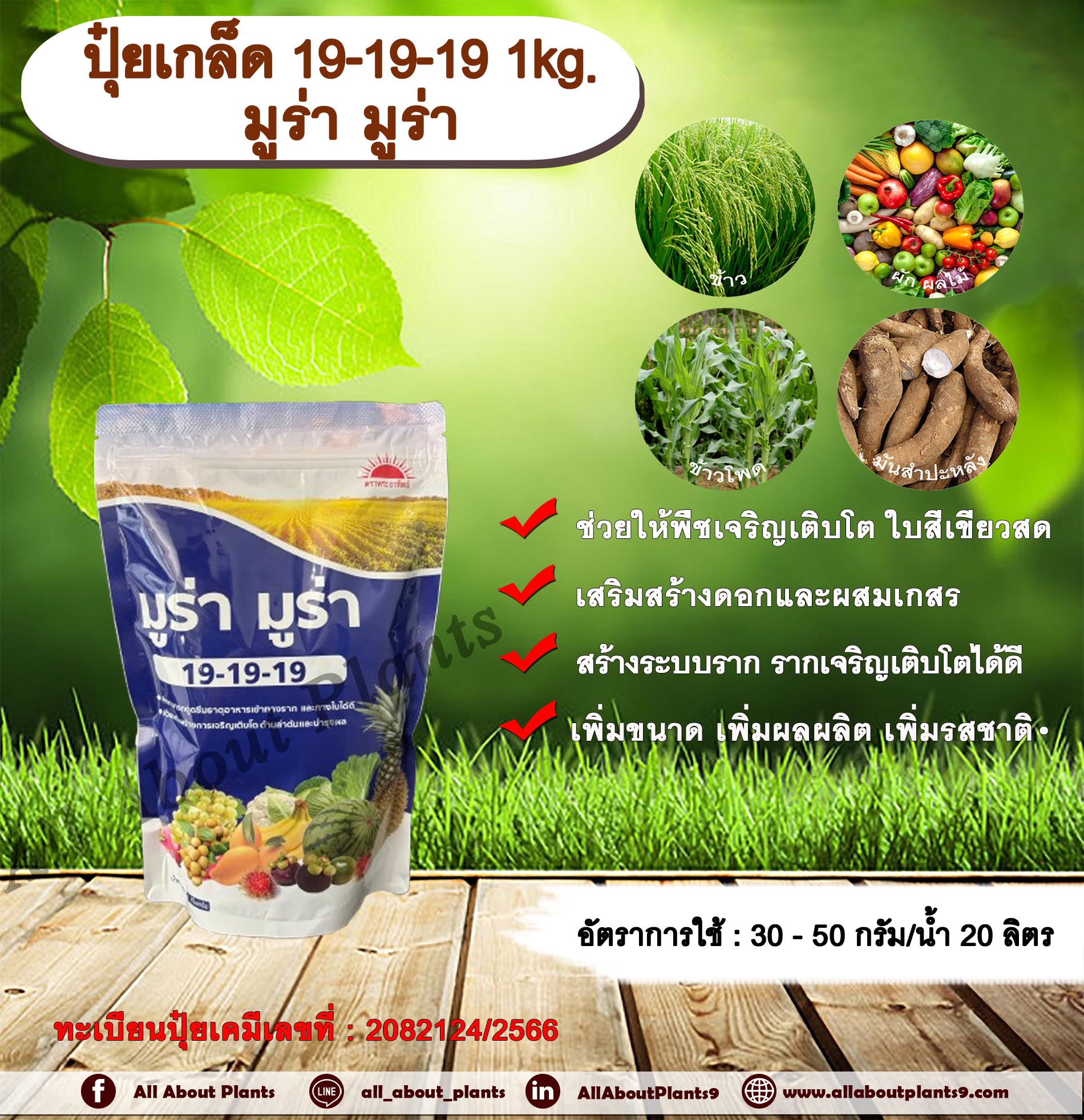 ปุ๋ยเกล็ด 19-19-19 1kg. มูร่า มูร่า ช่วยให้พืชเจริญเติบโต ใบสีเขียวสด เสริมสร้างดอก ผสมเกสร สร้างระบบราก รากเจริญเติบโต เพิ่มขนาด เพิ่มผลผลิต เพิ่มรสชาติ ทุกช่วงการเจริญเติบโตของพืช ถุง