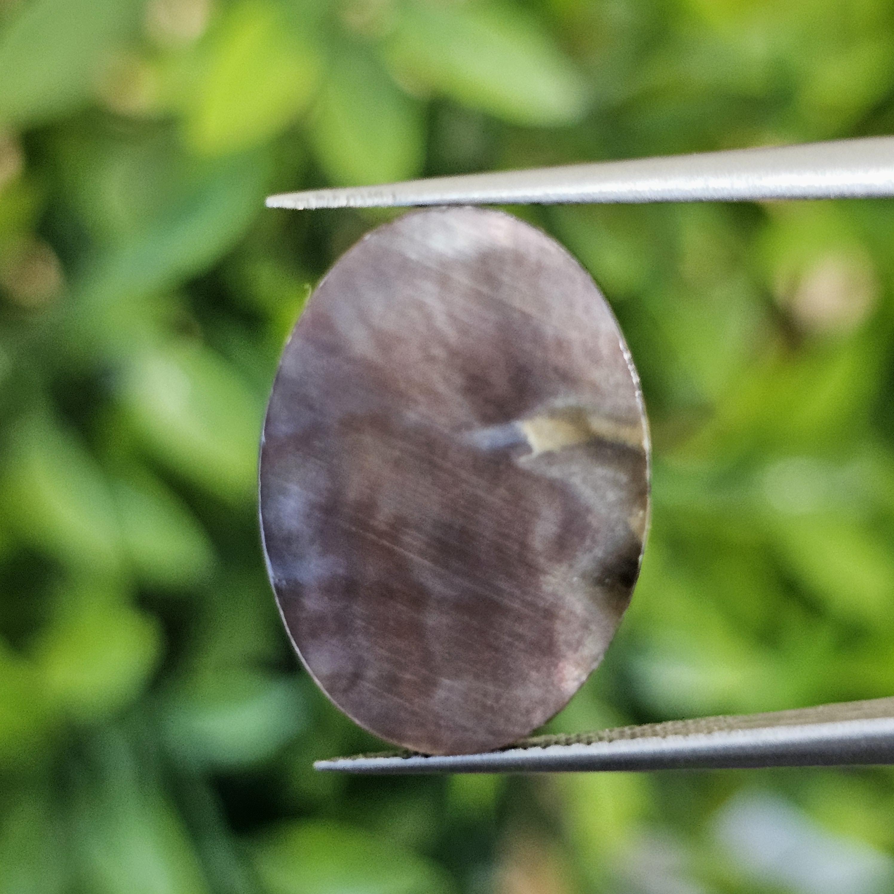 เปลือกหอยมุก แกะสลัก Pearl Shell Carved 4.38 กะรัต (Cts.)