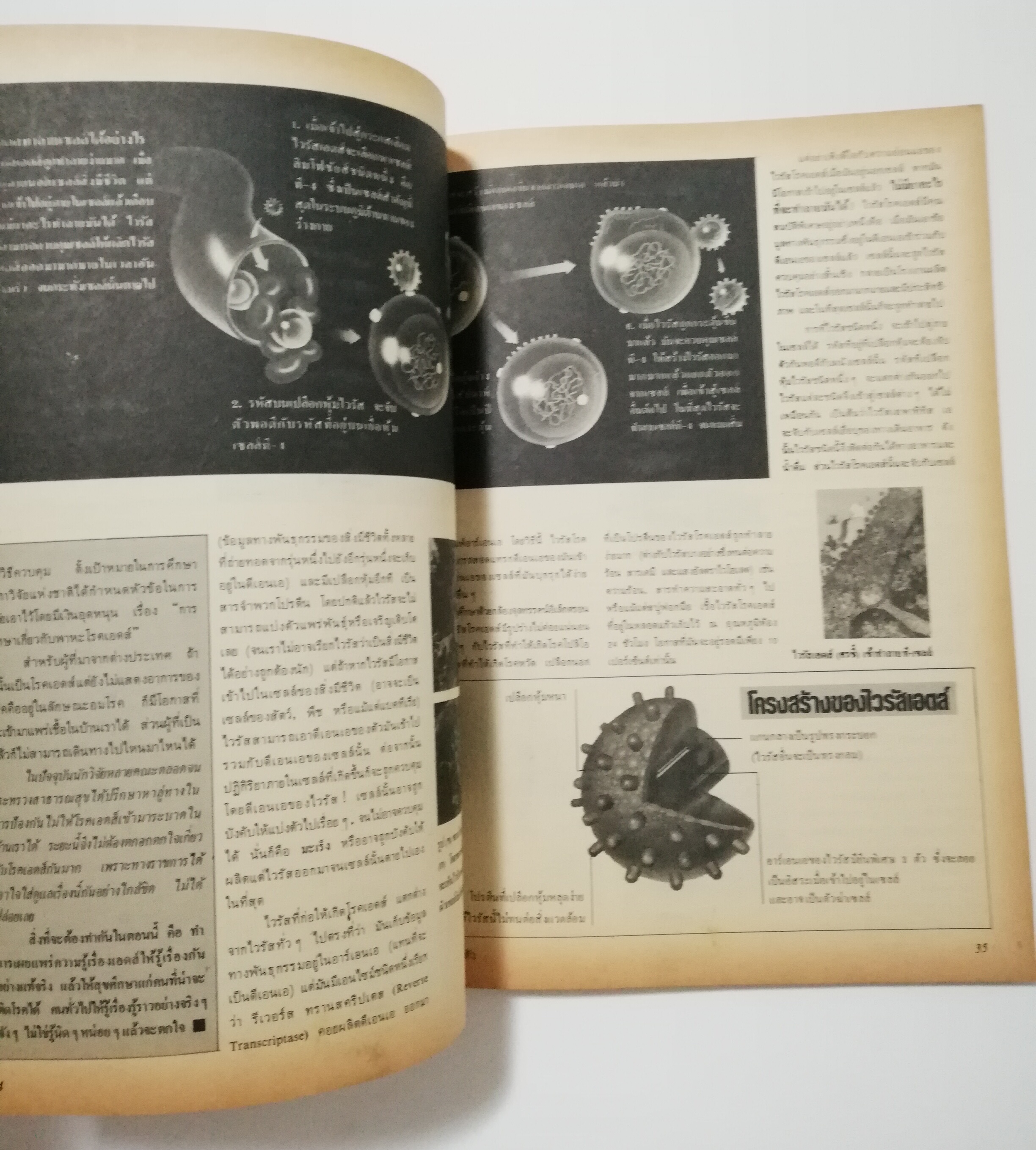 นิตยสารเก่า มกราคม 2529 "รู้รอบตัว ฉบับที่ 2 " วารสารเพื่อความรอบรู้สำหรับทุกคนในยุควิทยาศาสตร์ :- ชำแหละกลไก ATM ,สะกดรอยดาวหางฮัลเล่ย์,ความรู้ล่าสุดเกี่ยวกับเอดส์,กิ้งก่าบินคืนชีพ,ซ่อมเอ็นแร็คเก็ต,ของขวัญปีใหม่จากภาพถ่าย