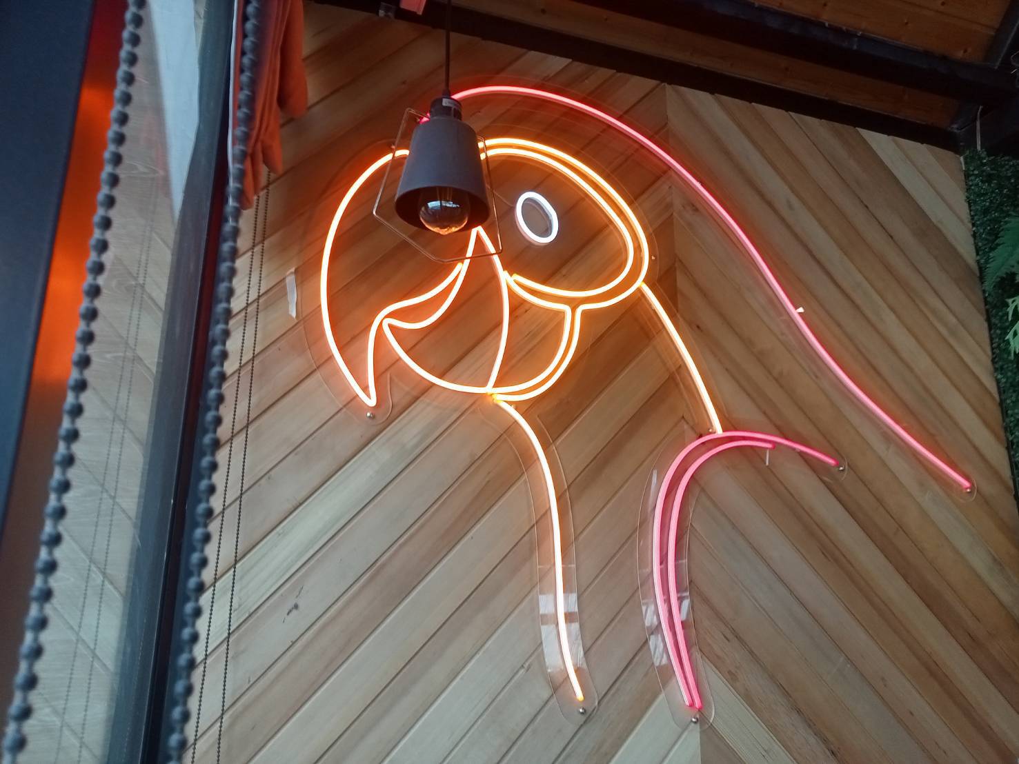 #ป้ายไฟนีออนดัดLEDรูปนกแก้ว