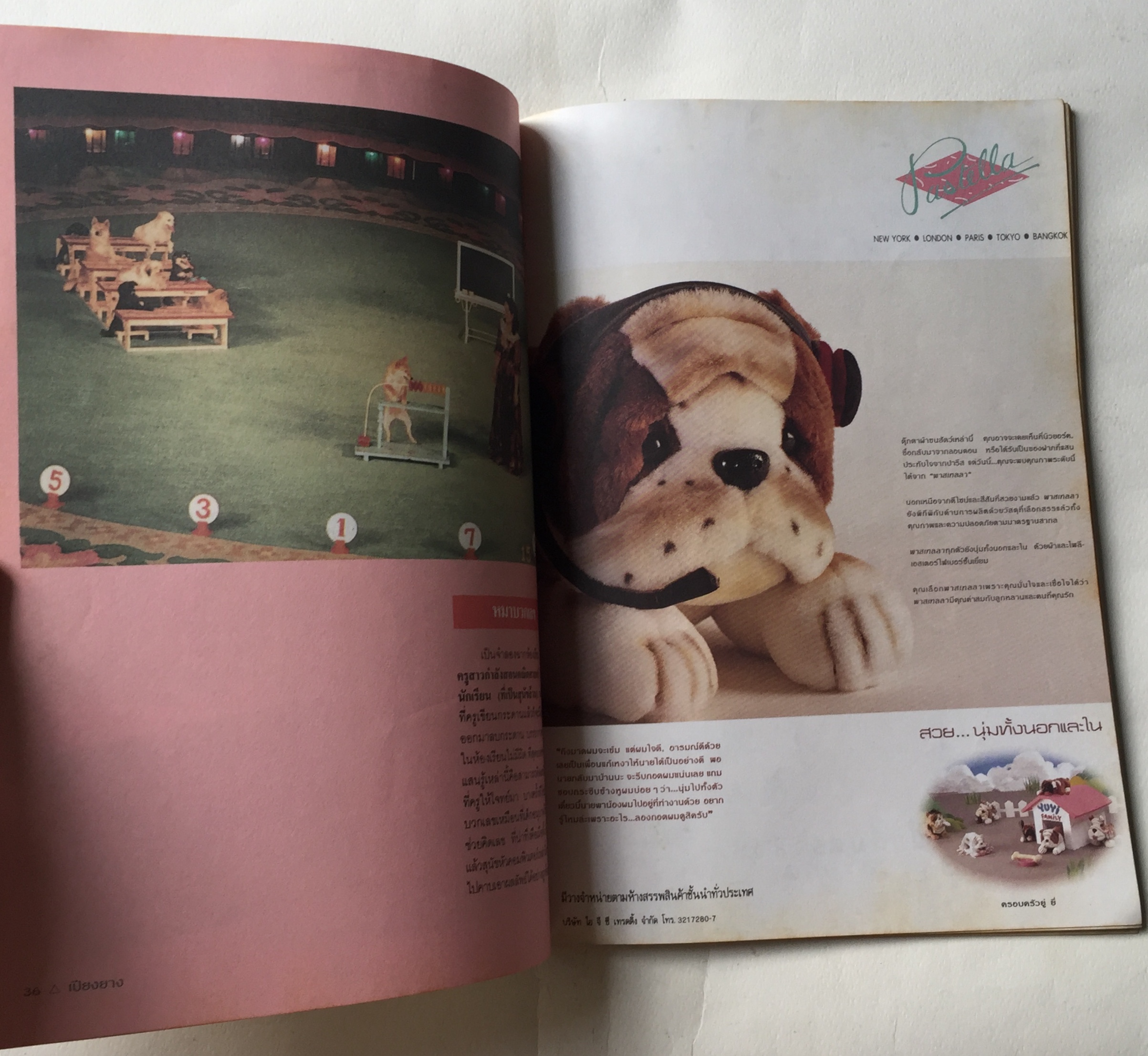 สูจิบัตร ** มีตำหนิบ้างตามภาพ กายกรรมเปียงยาง แสดง ณ สนามกีฬาในร่ม หัวหมาก กทม 1 - 30 พฤศจิกายน 2534