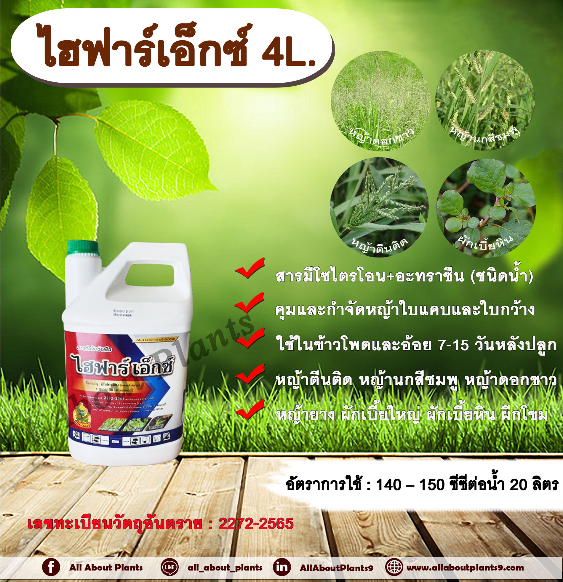 ไฮฟาร์เอ็กซ์ 4L. มีโซไตรโอน + อะทราซีน สารคุมวัชพืช สารกำจัดวัชพืช ใบแคบ ใบกว้างหญ้าตีนติด หญ้าตีนกา หญ้านกสีชมพู หญ้าดอกขาว หญ้ายาง ผักเบี้ยใหญ่ ผักเบี้ยหิน ผักโขม กระติก