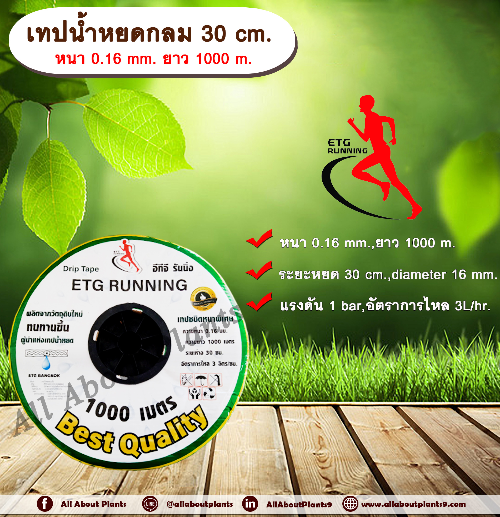 เทปน้ำหยด 30 cm. ยาว 1000 m. ตราETG RUNNING เทปน้ำหยด สายน้ำหยด แบบกลม ตราอีทีจี รันนิ่ง ระยะห่างรู 30 cm. หนา 0.16 mm. ยาว 1000 m. allaboutplants ชิ้น