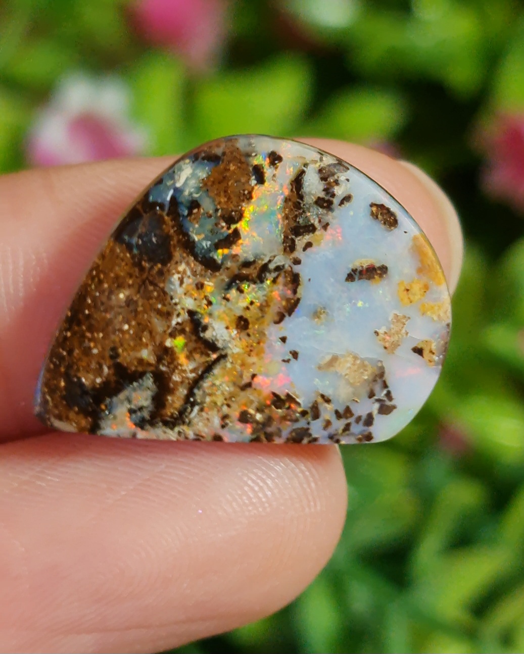 พลอย โบลเดอร์ โอปอล ออสเตรเลีย Australian Boulder Opal 14.3 กะรัต (Cts.) พลอยแท้ อัญมณีมงคลประจําวันเกิด เครื่องประดับพลอย