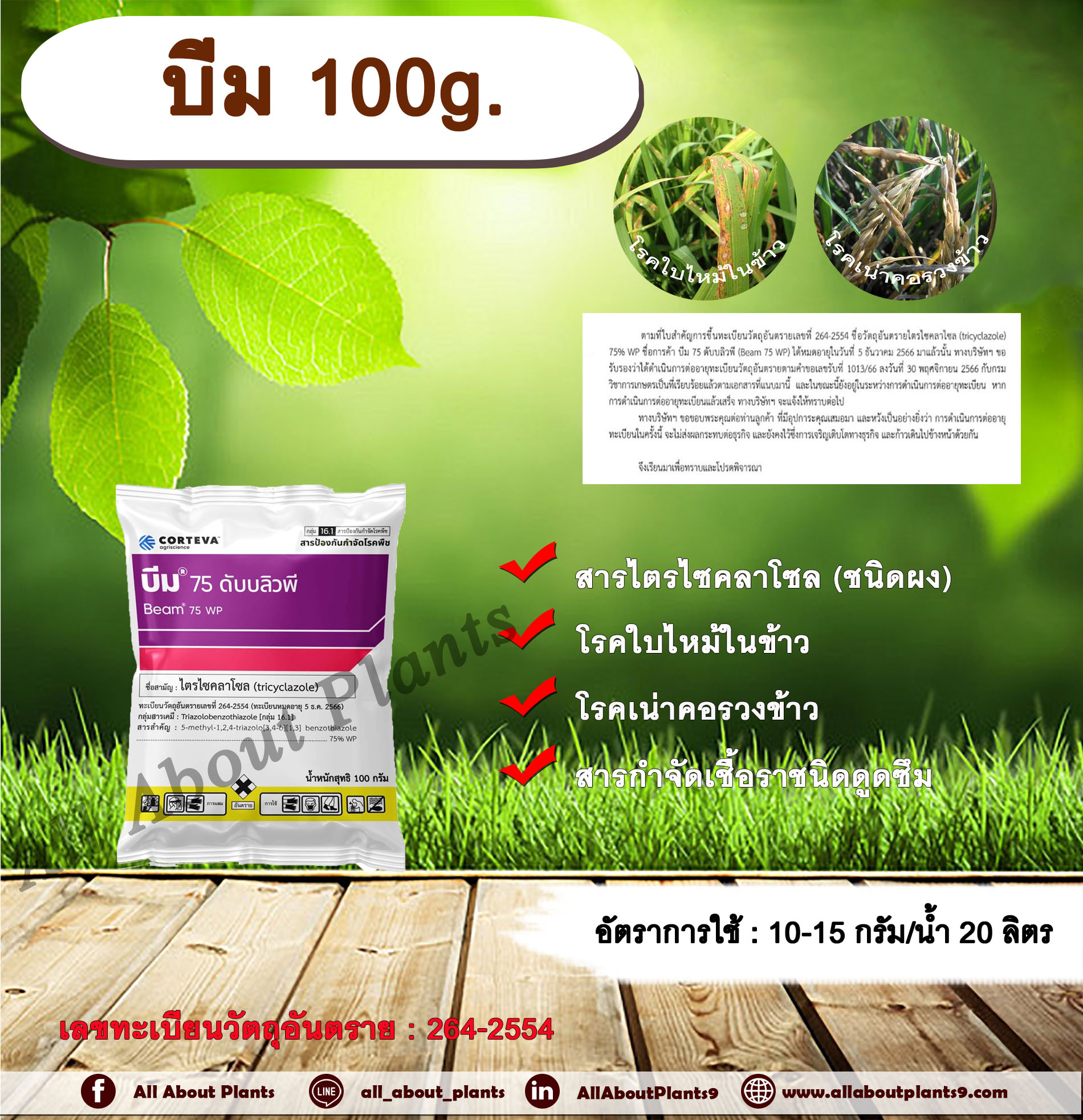 บีม 100g. ไตรไซคลาโซล สารกำจัดเชื้อรา โรคใบไหม้ โรคเน่าคอรวง โรคในข้าว โรคพืช เชื้อรา allaboutplants ชิ้น