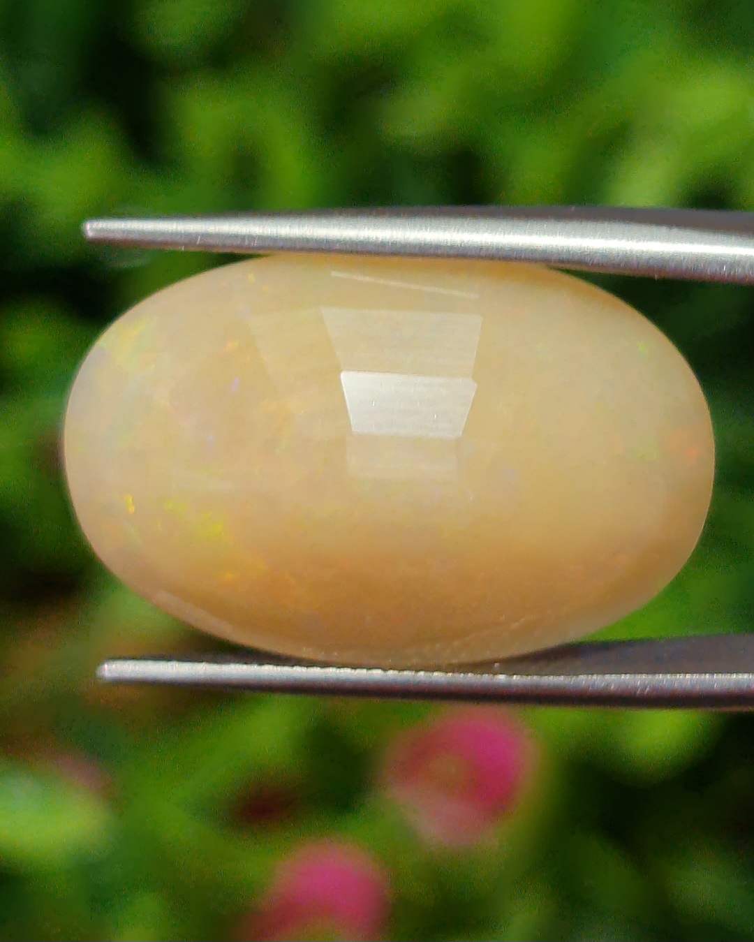 พลอย ไวท์ โอปอล White Opal 12.80 กะรัต (Cts.) พลอยแท้ อัญมณีมงคลประจําวันเกิด เครื่องประดับพลอย