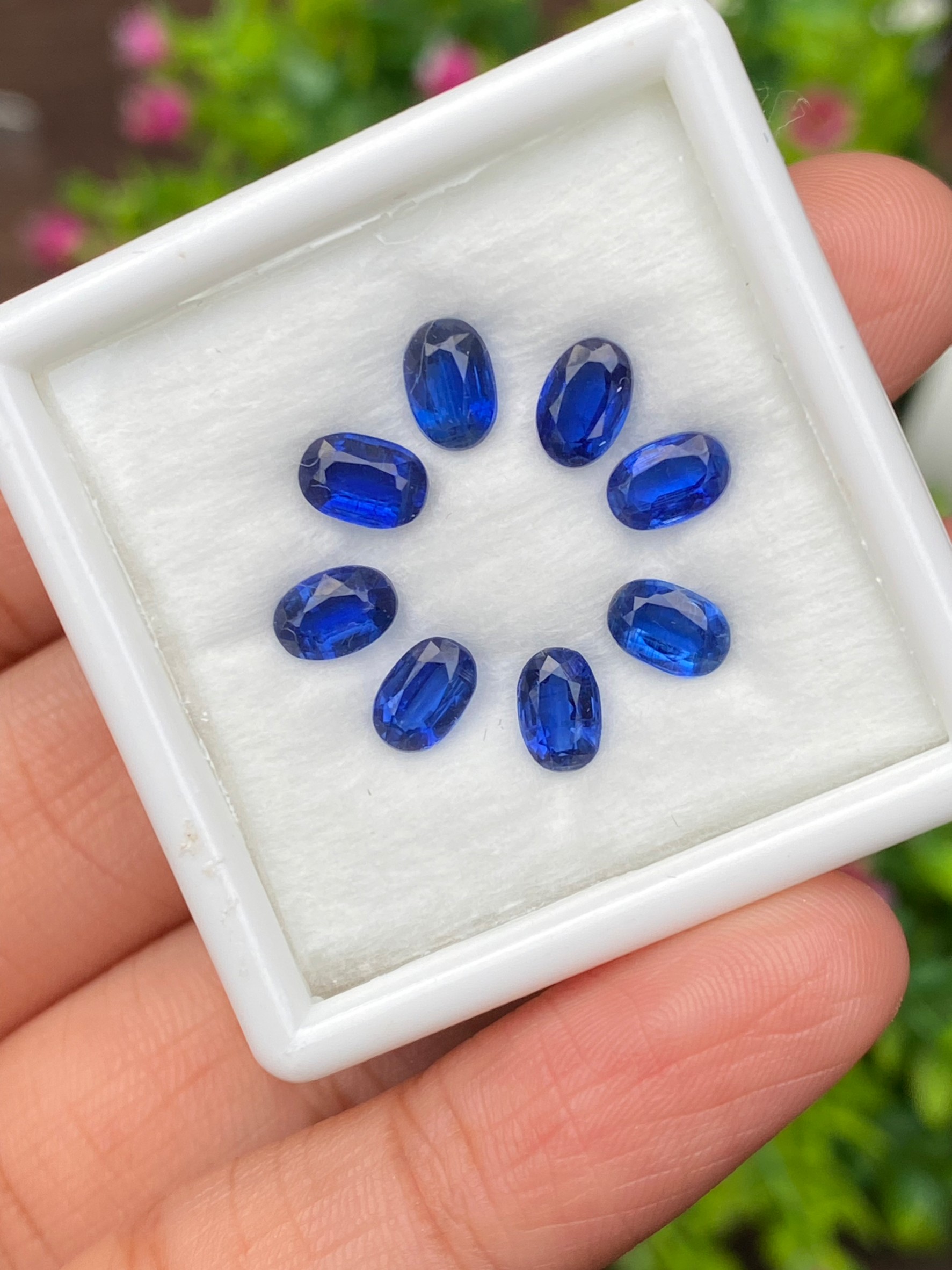 พลอย ไคยาไนต์ Kyanite 5.00 กะรัต (Cts.) 8 เม็ด พลอยแท้ อัญมณีมงคลประจําวันเกิด เครื่องประดับพลอย