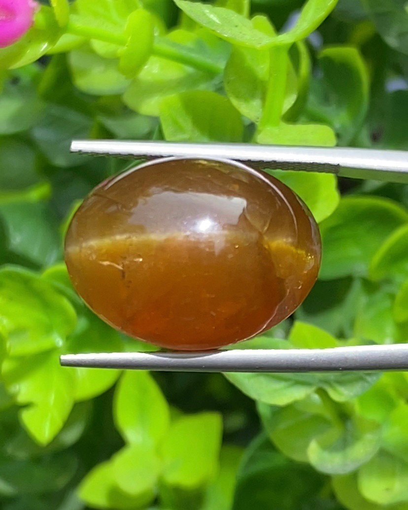 พลอย ตาแมว อะพาไทต์ Cat eye Apatite 25.00 กะรัต (Cts.) พลอยแท้ อัญมณีมงคลประจําวันเกิด เครื่องประดับพลอย