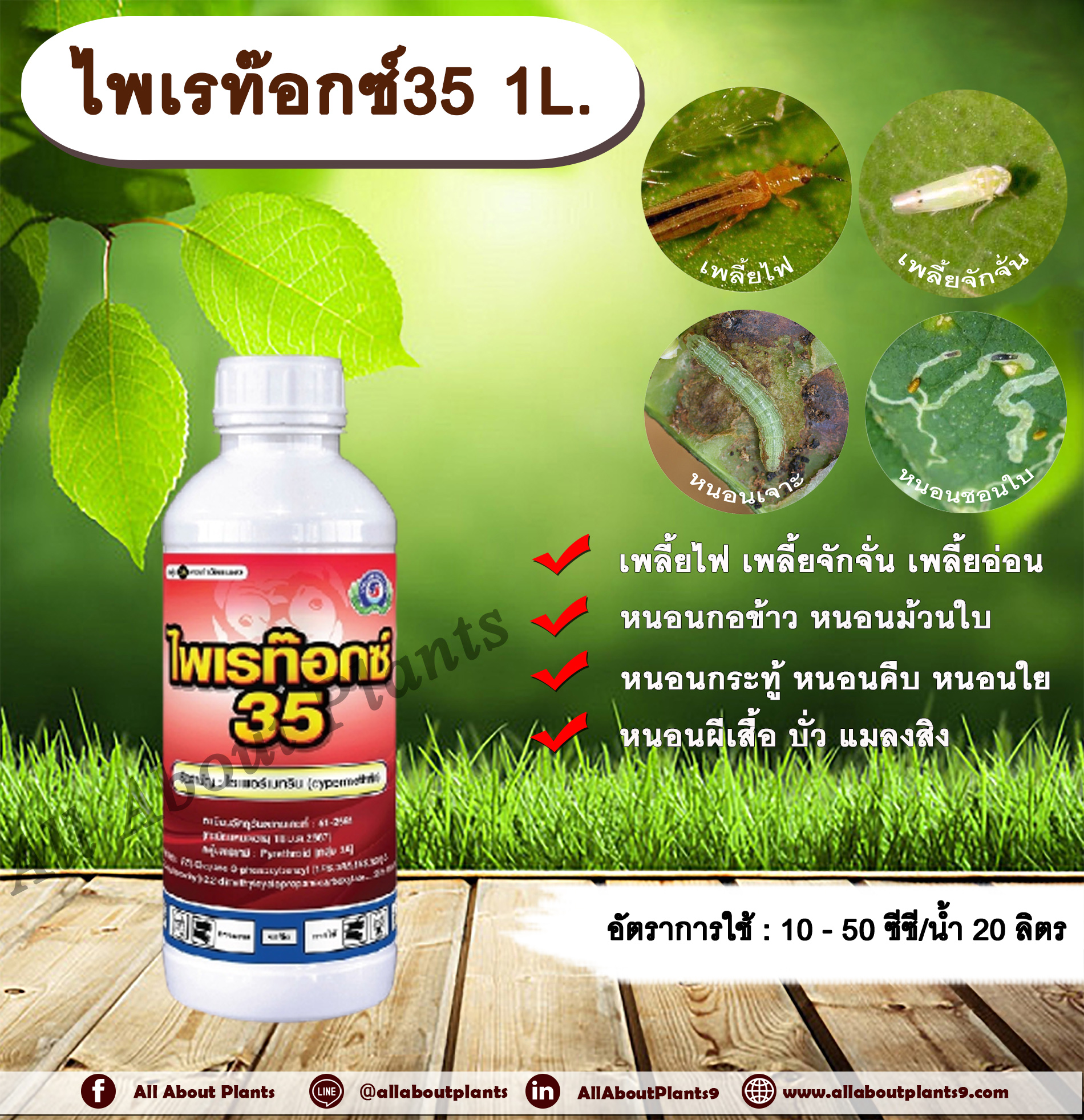 ไพเรท๊อกซ์ 35 1L. ไซเพอร์เมทริน ไซเปอร์เมทริน สารกำจัดแมลง น็อค กำจัดเพลี้ย หนอน ยุง มด แมลงสาบ เทพวัฒนา allaboutplants ชิ้น