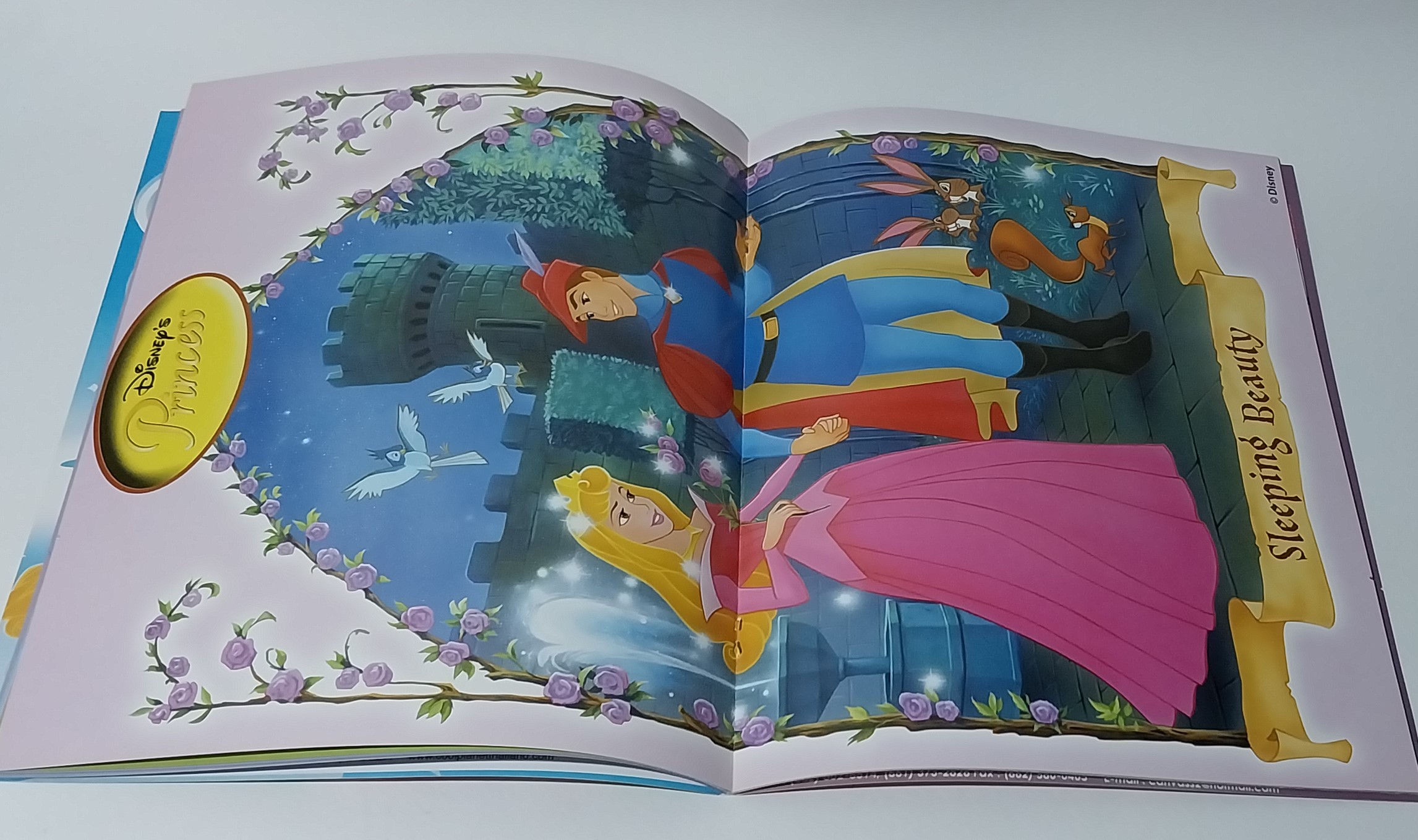 หนังสือหนังสือนิทานเจ้าหญิง2ภาษา, ภาพสวย มีโปสเตอร์หน้ากลาง, เจ้าหญิงดิสนีย์ Disney Princess Vol3 ปก ออโรร่า เจ้าหญิงนิทรา, เสริมสร้างจินตนาการและพัฒนาการเรียนรู้, ในเล่ม :นิทานเจ้าหญิง 2 ภาษา, เกมส์, อื่นๆ