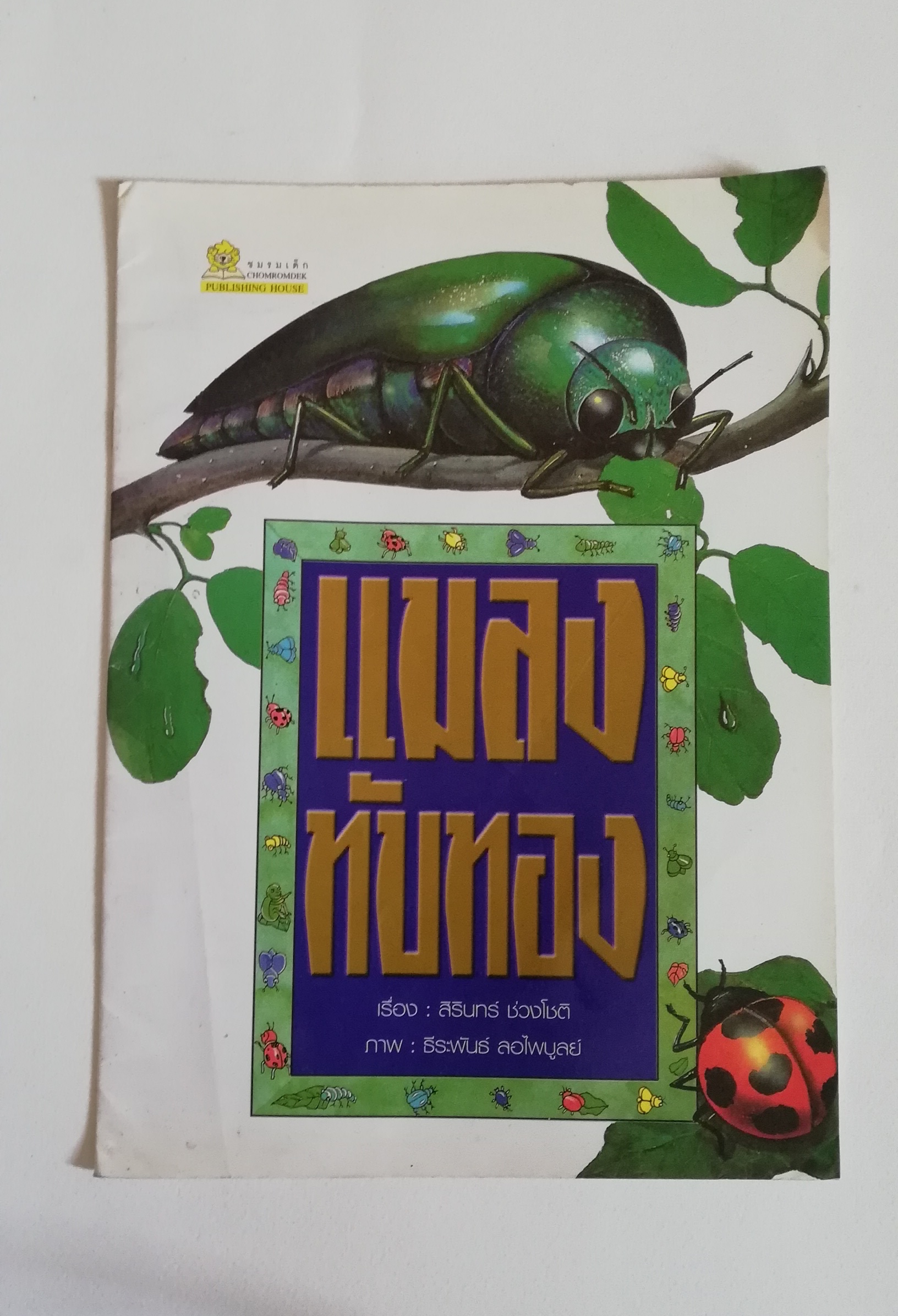 มีหลายภาพ หนังสือภาพเล่มใหญ่ มีตำหนิ โปรดดูทุกภาพ, แมลงทับทอง เรื่องโดย สิรินทร์ ช่วงโชติ, ภาพโดย ธีระพันธ์ ลอไพบูลย์ พิมพ์ครั้งล่าสุด 2547