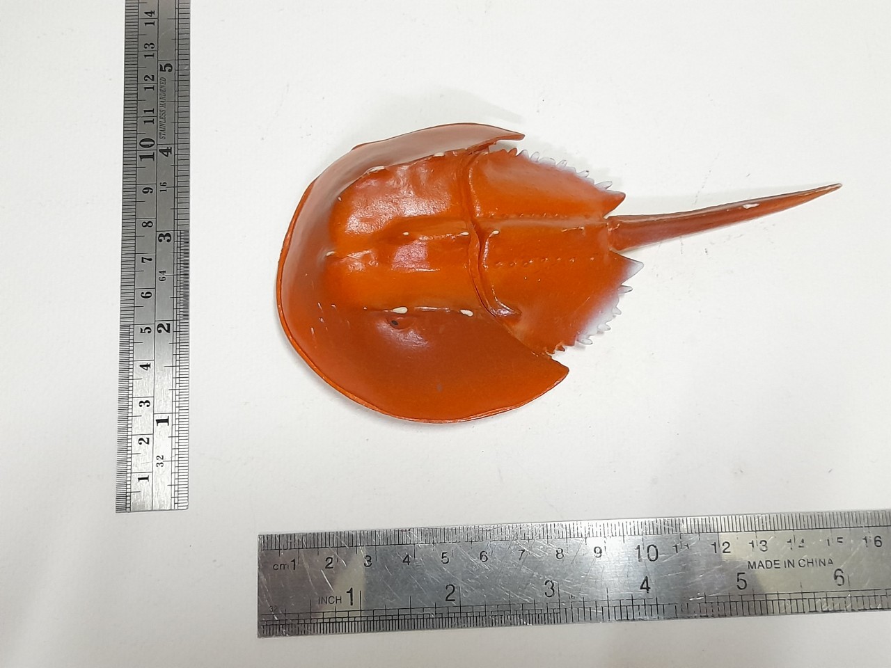 ฟิกเกอร์ ซอฟ #แมงดาทะเล ลงสีสำเร็จขนาดตามรูป มือสองสภาพดี ไม่มีตัวปั๊ม มีรอยบ้าง