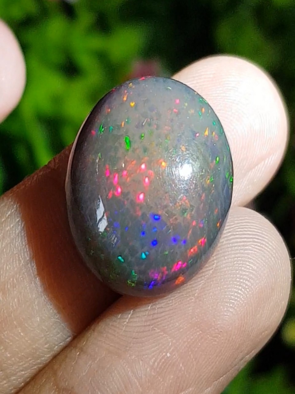 พลอย แบล็ก โอปอล Black Opal 13.73 กะรัต (Cts.) พลอยแท้ อัญมณีมงคลประจําวันเกิด เครื่องประดับพลอย