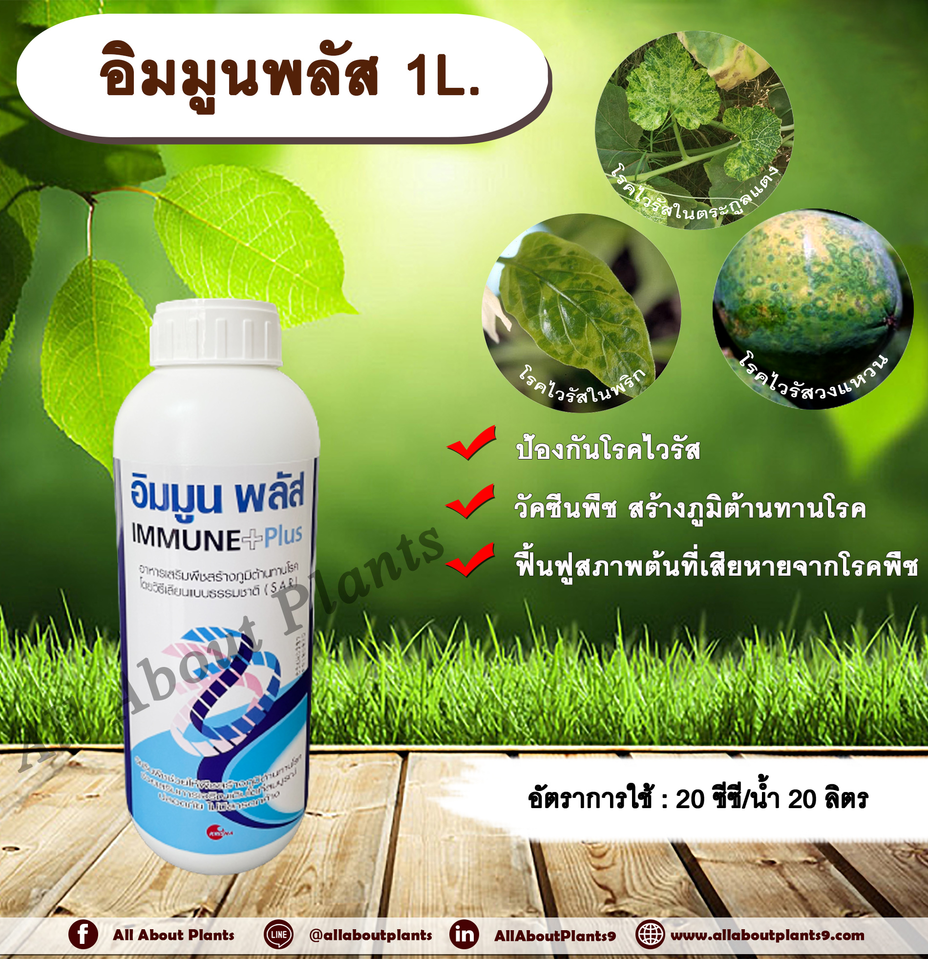 อิมมูนพลัส 1L. วัคซีนพืช ป้องกันและรักษาโรคพืช เชื้อรา แบคทีเรีย ไวรัส โรคพืช allaboutplants ชิ้น
