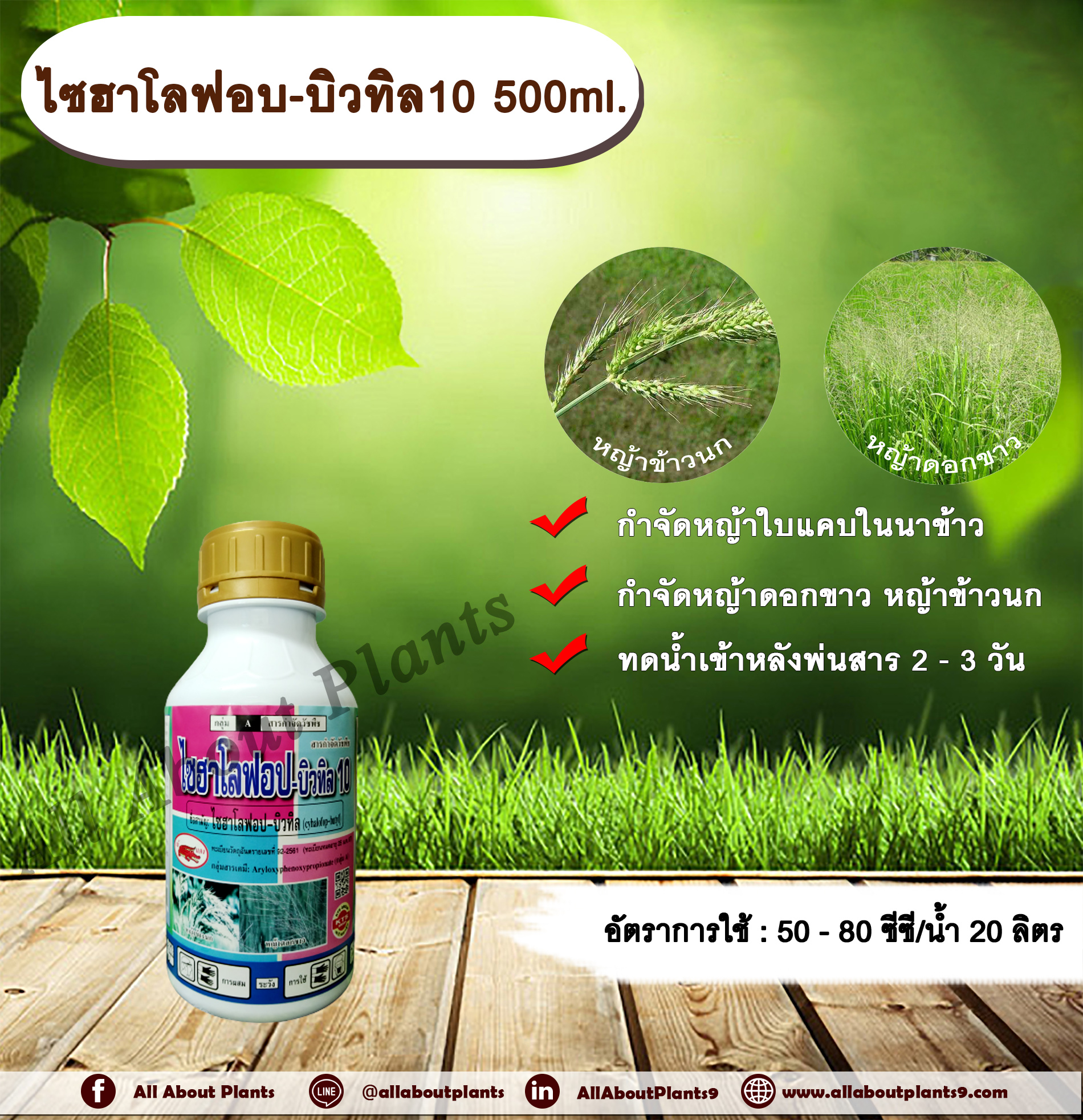 ไซฮาโลฟอบ-บิวทิล 10 500ml. สารกำจัดวัชพืช สารกำจัดหญ้า ในนาข้าว หญ้าใบแคบ หญ้าดอกขาว หญ้าข้าวนก allaboutplants ชิ้น