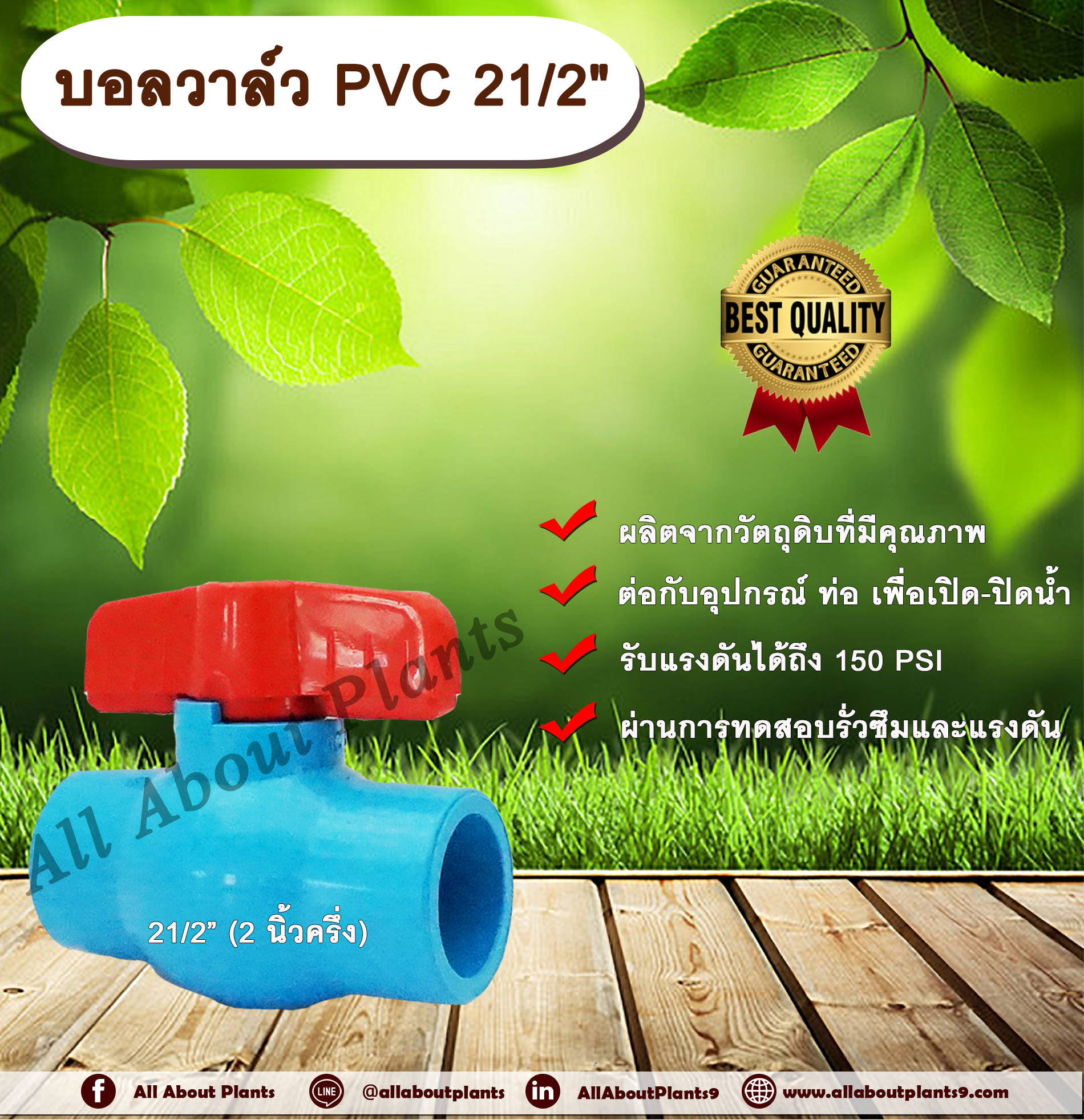 บอลวาล์ว PVC 21/2” (2 นิ้วครึ่ง) ประตูเปิดปิดน้ำ บอลวาล์วพีวีซี แบบสวม allaboutplants ชิ้น