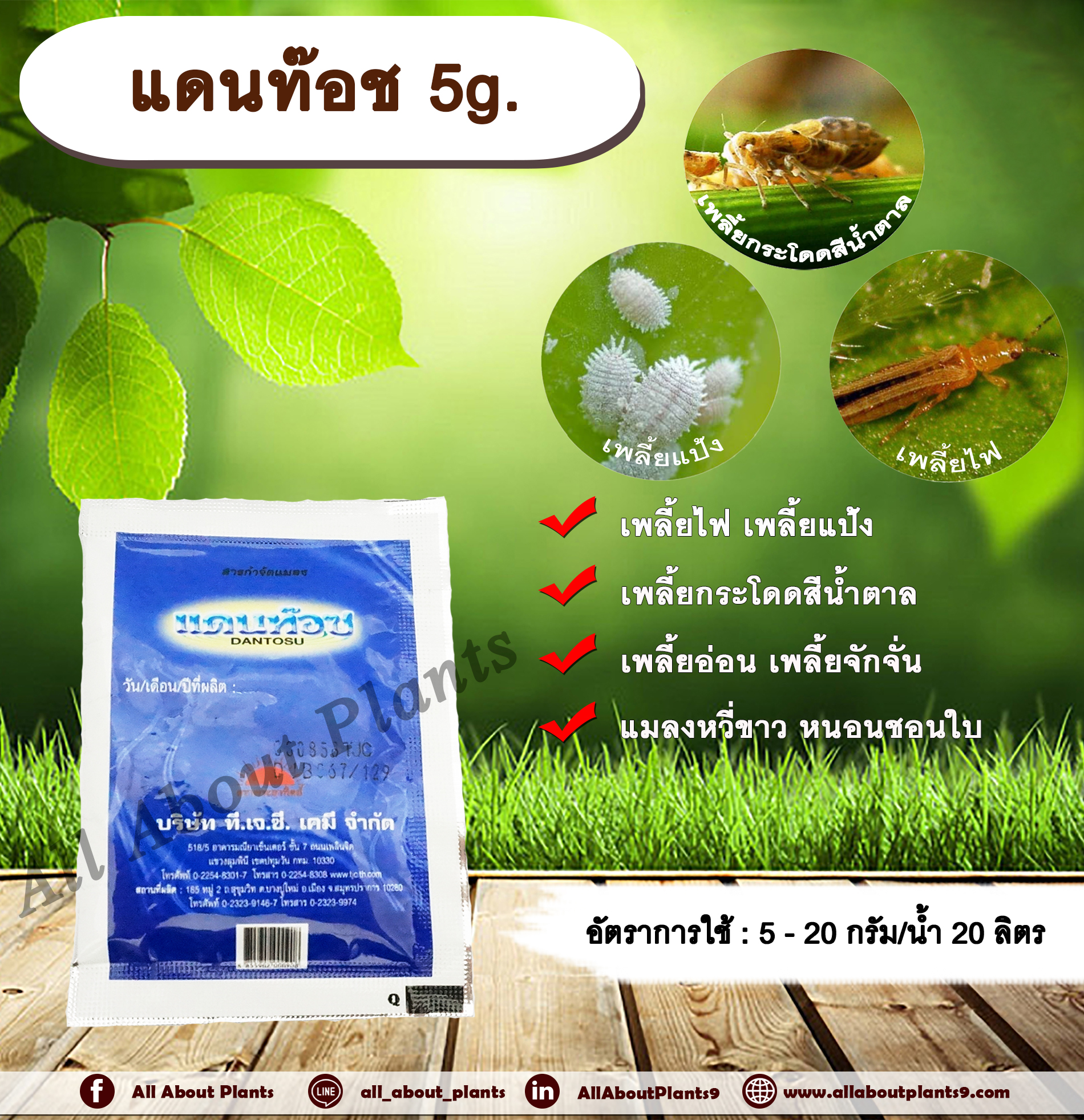 แดนท๊อช 5g. โคลไทอะนิดิน สารกำจัดแมลง เพลี้ยไฟ เพลี้ยแป้ง เพลี้ยอ่อน แมลงหวี่ขาว หนอนชอนใบ ทีเจซี ดูดซึม allaboutplants ซอง