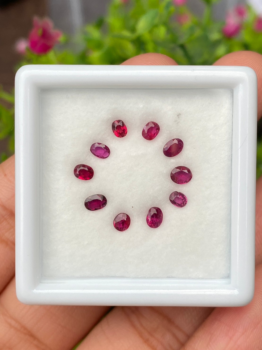 พลอย ทับทิม สยาม (Siam Ruby Sapphire) ดิบ (Unheated) 1.51 กะรัต (Cts.) 10 เม็ด (pcs.) พลอยแท้ อัญมณีมงคลประจําวันเกิด เครื่องประดับพลอย