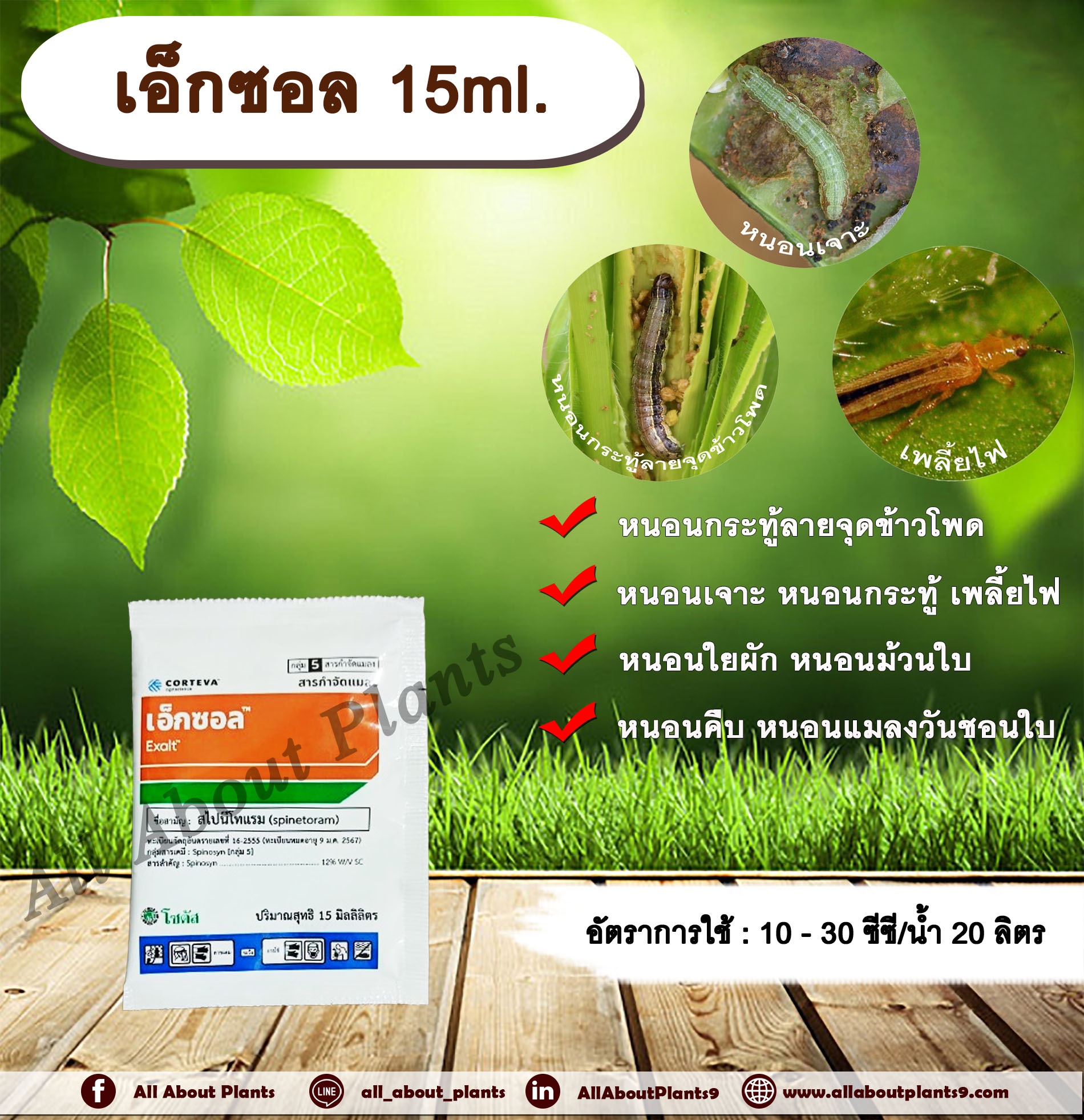 เอ็กซอล 15ml. สไปนีโทแรม สารกำจัดแมลง กำจัดเพลี้ยไฟ กำจัดหนอน หนอนกระทู้ลายจุดข้าวโพด หนอนเจาะ หนอนใยผัก หนอนคืบ allaboutplants ชิ้น