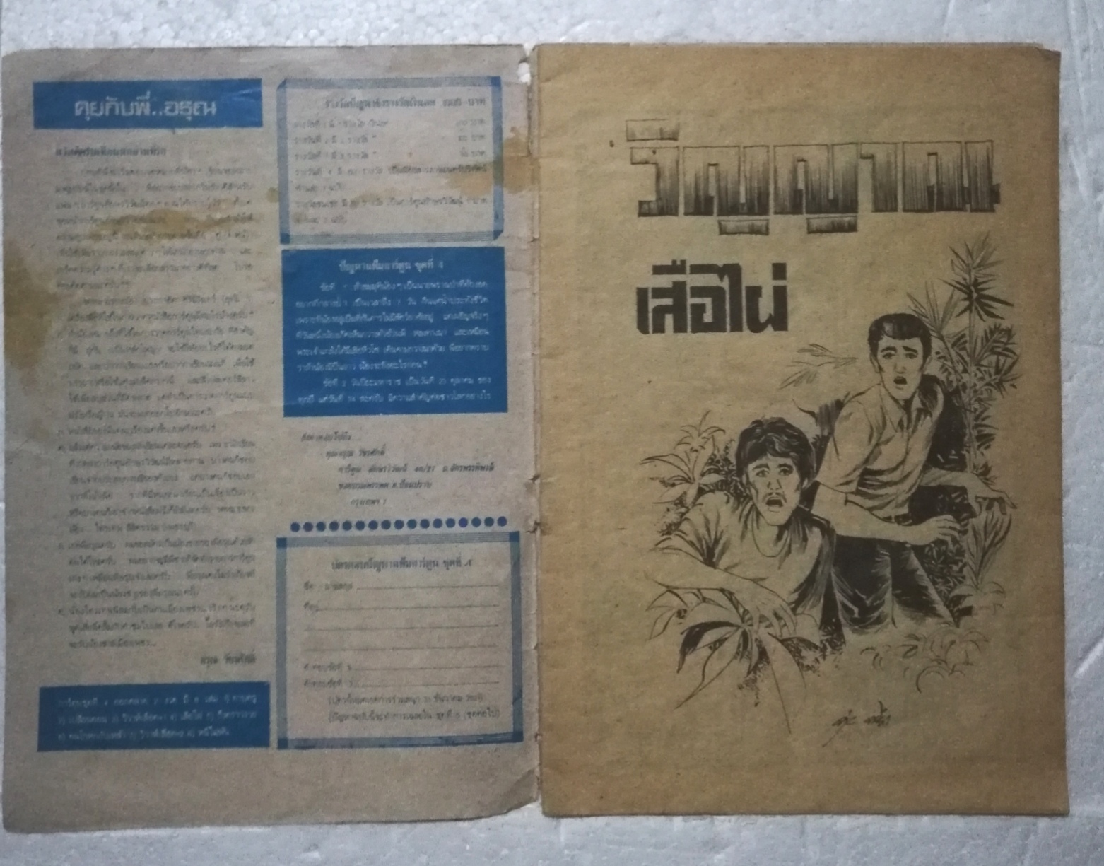 หนังสือการ์ตูนเก่า (การ์ตูนเล่มละบาท), วิญญาณเสือไผ่ **หนังสือเก่ามีตำหนิตามภาพ