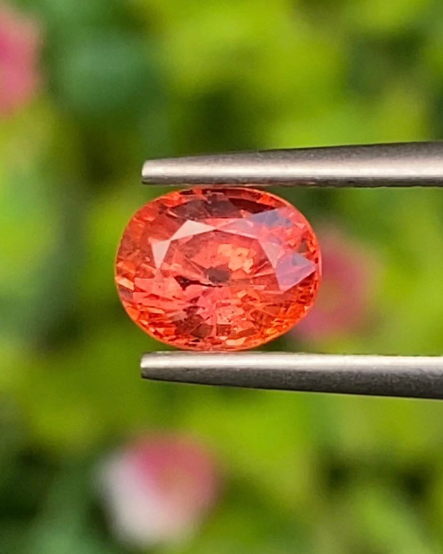 พลอย ออเรนจ์ แซฟไฟร์ Orange Sapphire 1.29 กะรัต (Cts.) พลอยแท้ อัญมณีมงคลประจําวันเกิด เครื่องประดับพลอย