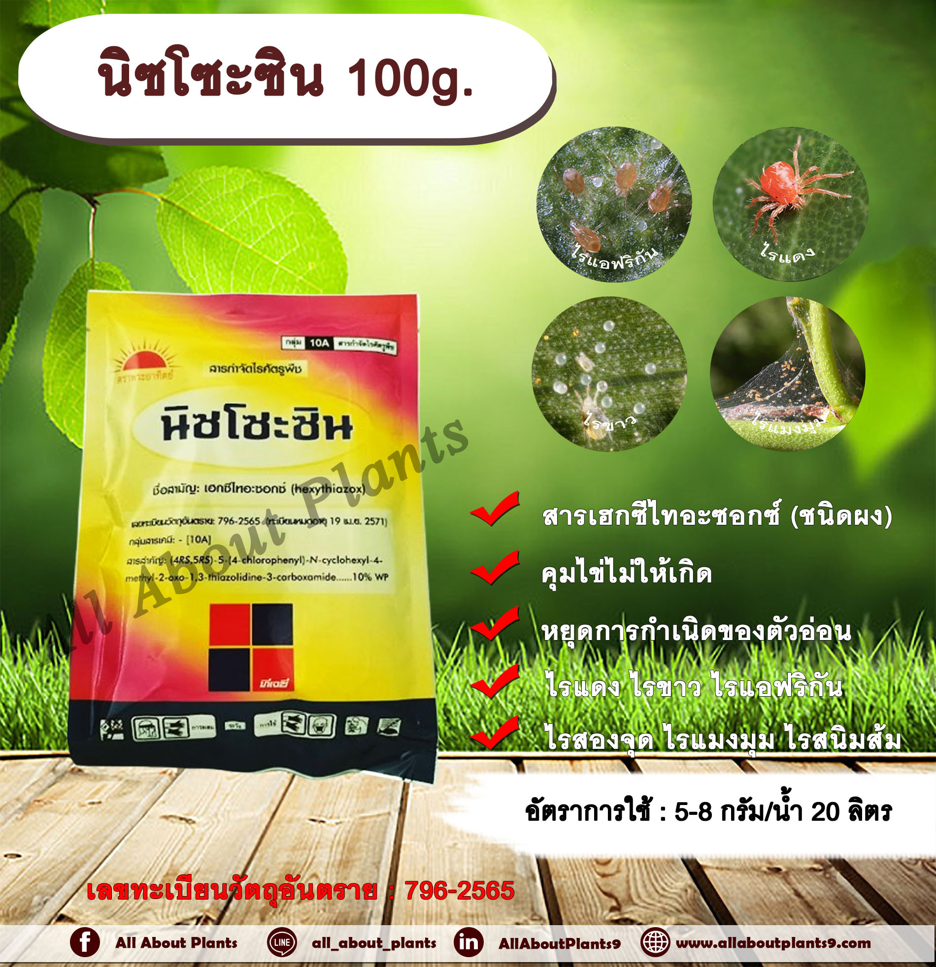 นิซโซะซิน 100g. เฮกซีไทอะซอกซ์ สารกำจัดแมลง สารกำจัดไร ไรแดง ไรขาว ไรแอฟริกัน ไรสองจุด ไรแมงมุม ไรสนิมส้ม ซอง