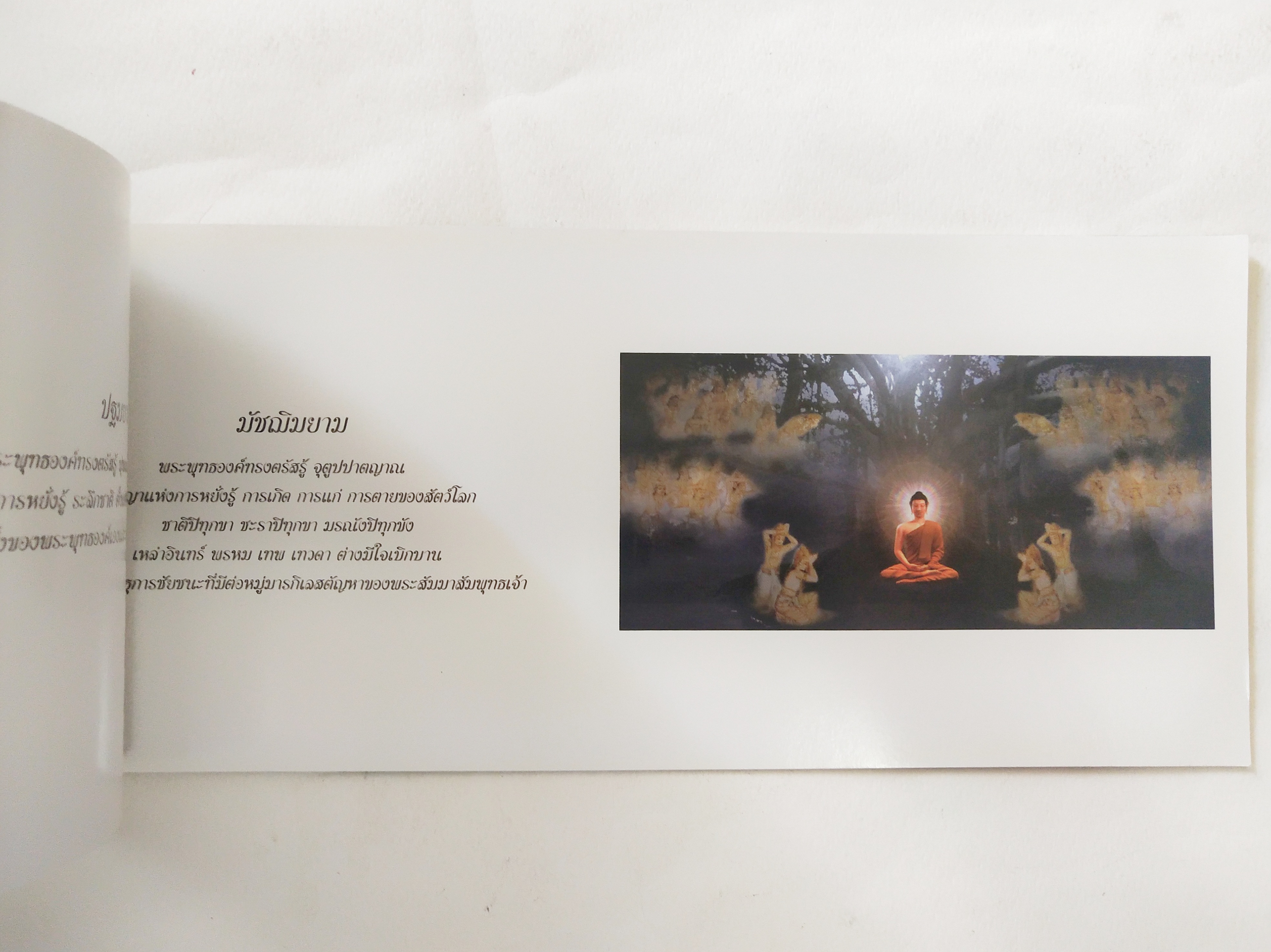 หนังสือภาพสวยเล่มยาว พระพุทธเจ้า เรื่องราวเกี่ยวกับพระศาสดา พร้อมภาพสีทั้งเล่ม