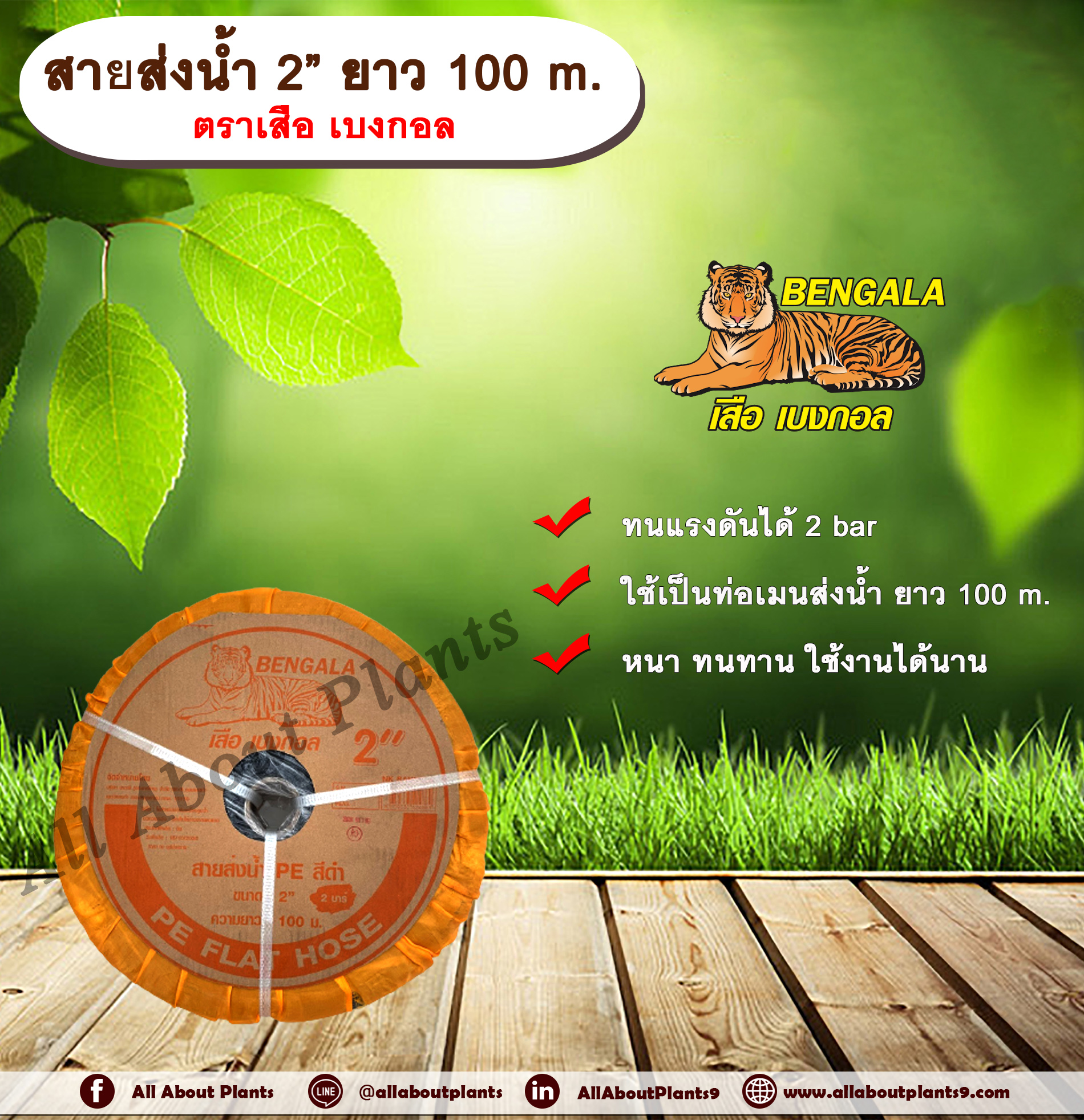 สายส่งน้ำ 2” ยาว 100 m. ตรา เสือ เบงกอล สายส่งน้ำ 2 นิ้ว ยาว 100เมตร สายสำหรับส่งน้ำ ส่งน้ำสำหรับทำเกษตร สามารถใช้แทนท่อ PVC ได้ ชิ้น