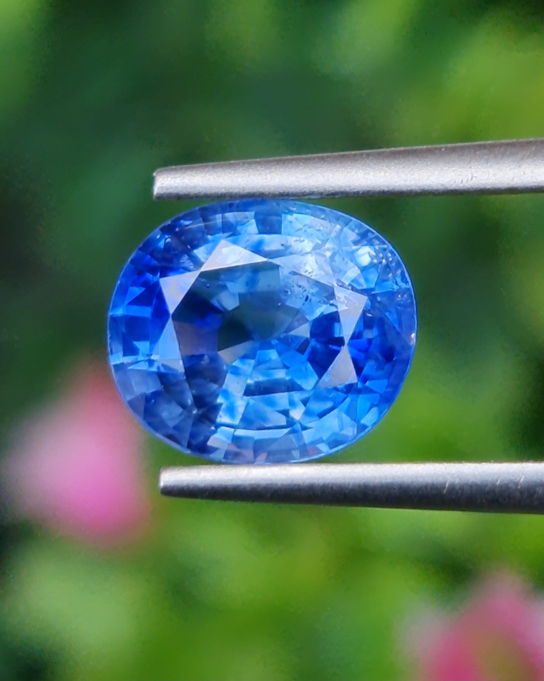 พลอย ไพลิน Blue Sapphire 2.48 กะรัต (Cts.) พร้อมใบเซอร์ พลอยแท้ อัญมณีมงคลประจําวันเกิด เครื่องประดับพลอย