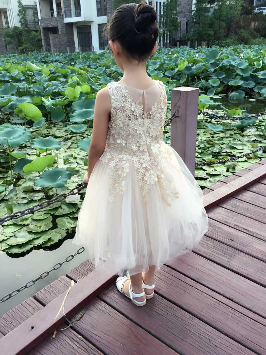 Pre-Order ชุดราตรีเด็ก สไตล์เจ้าหญิง แขนกุด สีตามภาพ ตกแต่งผ้าลูกไม้ กระโปรงตาข่าย เป็นชั้น ๆ ซิปหลัง