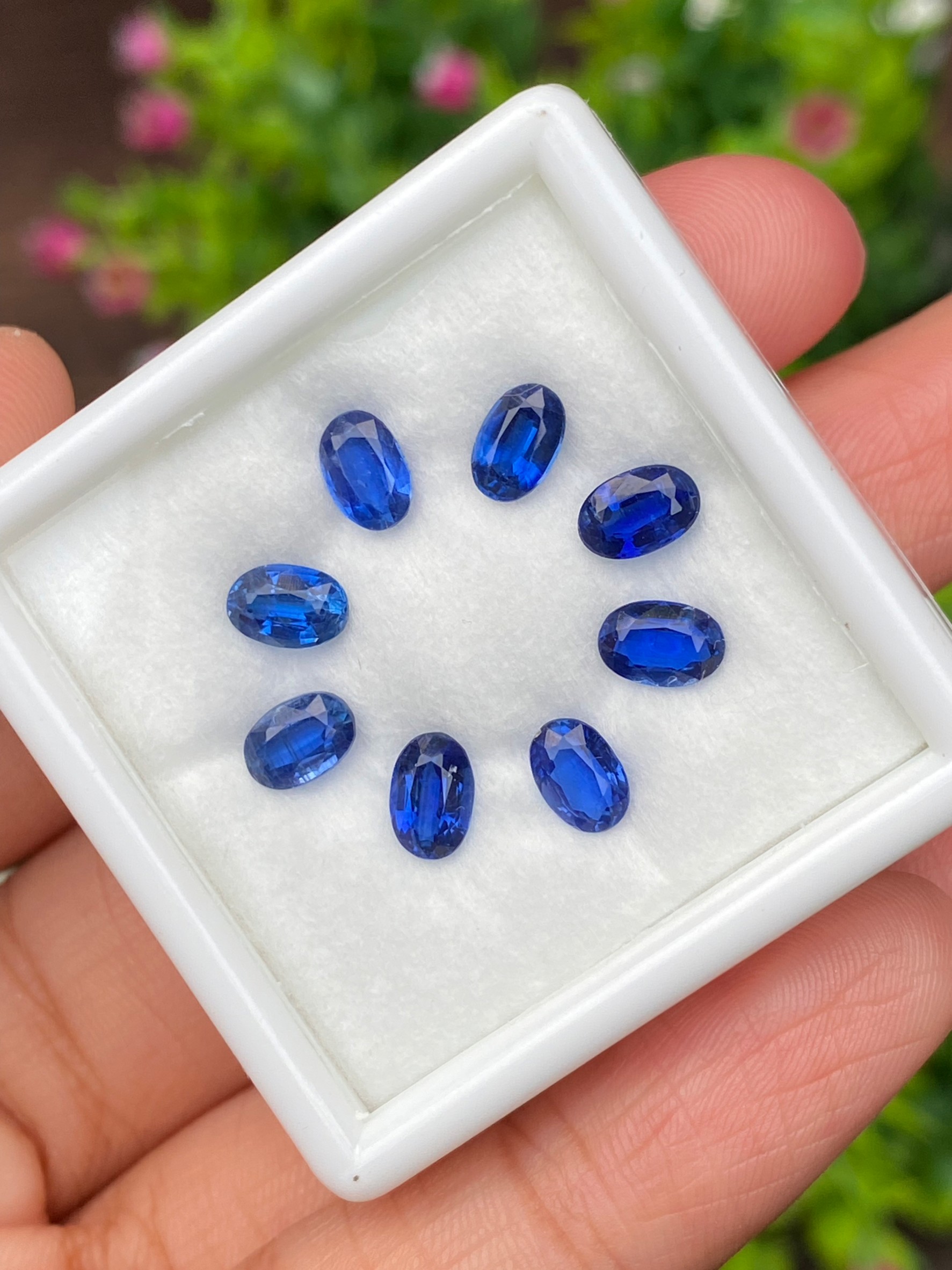 พลอย ไคยาไนต์ Kyanite 4.56 กะรัต (Cts.) 8 เม็ด พลอยแท้ อัญมณีมงคลประจําวันเกิด เครื่องประดับพลอย