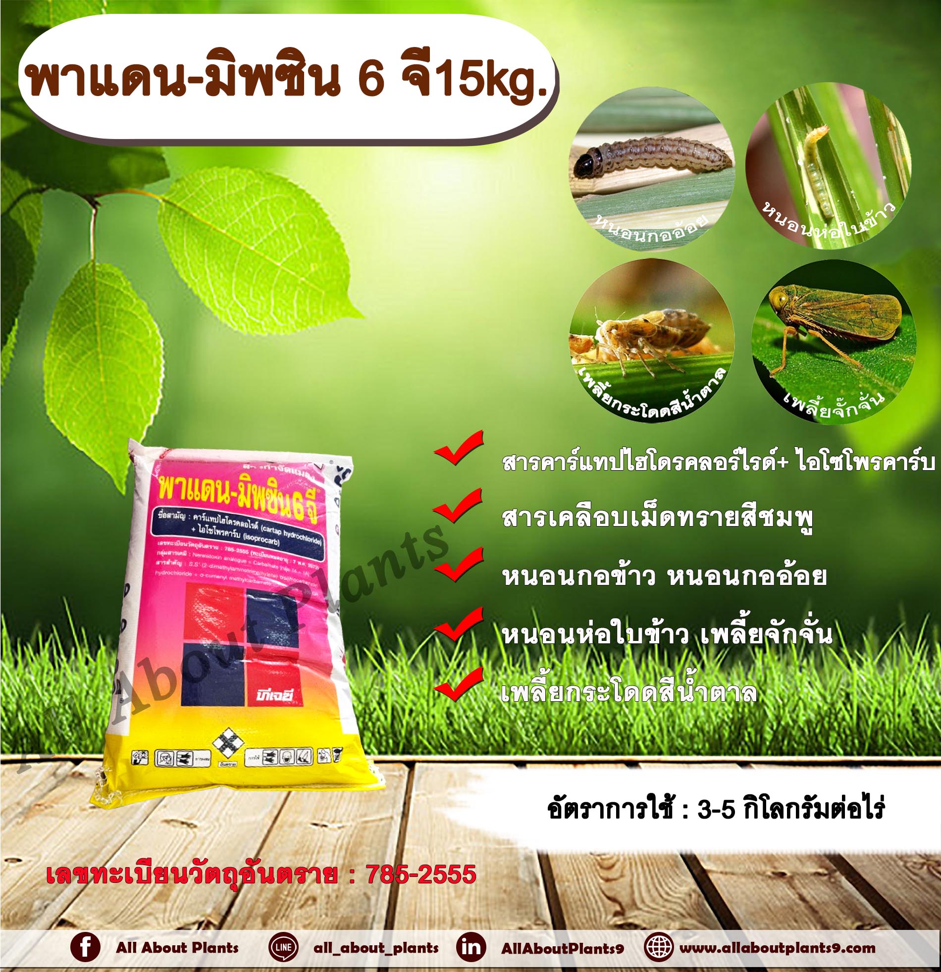 พาแดน-มิพซิน 6 จี15kg. คาร์แทปไฮโดรคลอร์ไรด์+ไอโซโพรคาร์บ กระสอบ