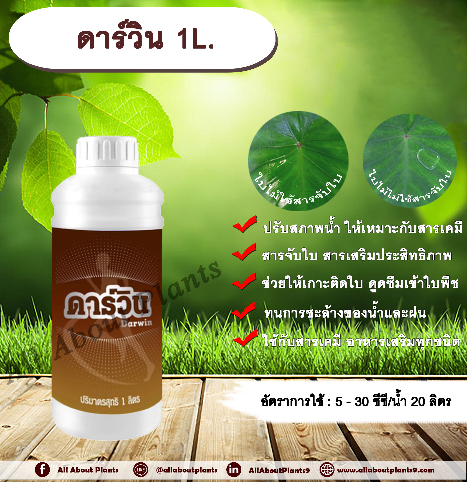 ดาร์วิน 1L. สารปรับสภาพน้ำ สารจับใบ สารเพิ่มประสิทธิภาพสารเคมี สารเสริมประสิทธิภาพทางใบ ช่วยให้สารเคมีเกาะติดใบ ดูดซึมเข้าใบพืชได้ดี ทนการชะล้างของน้ำและฝน เพิ่มประสิทธิภาพสารกำจัดแมลง สารกำจัดวัชพืช สารกำจัดโรคพืช ปุ๋ย อาหารเสริม allaboutplants ชิ้น