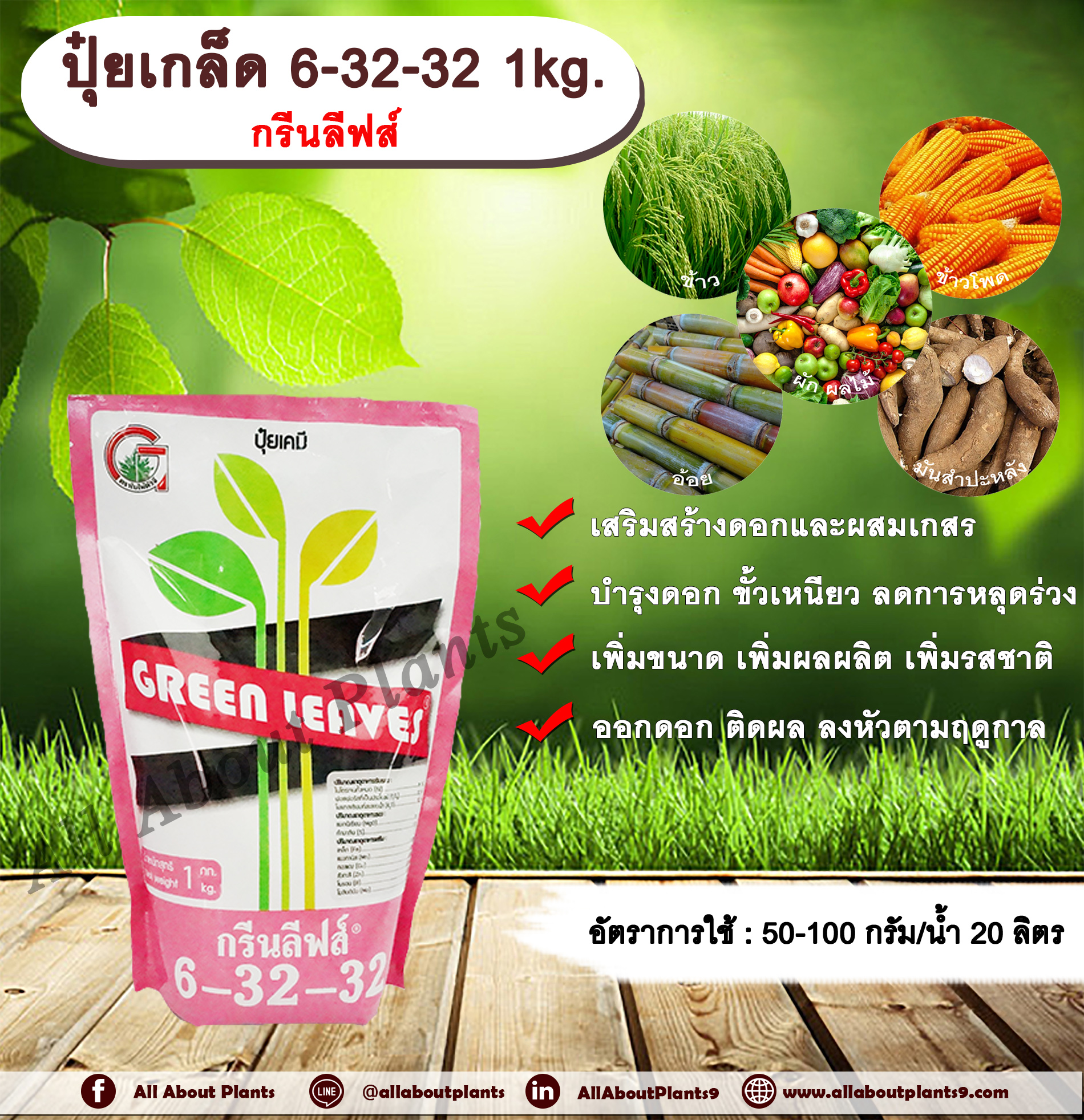 ปุ๋ยเกล็ดกรีนลีฟส์ สูตร 6-32-32 1kg. ปุ๋ยเกล็ดฉีดพ่นทางใบ เร่งดอก ติดผล เร่งลูก เร่งผล เพิ่มน้ำหนัก เพิ่มความหวาน ปุ๋ยผง allaboutplants ชิ้น