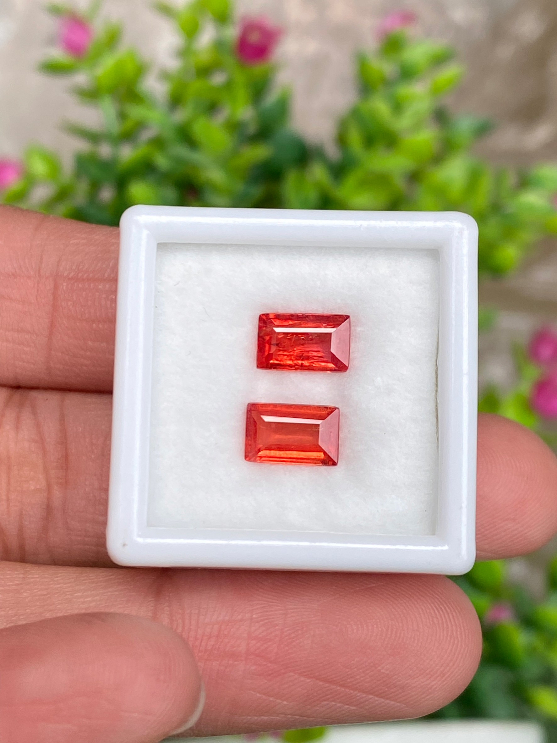 พลอย คู่ ออเรนจ์ แซฟไฟร์ Orange Sapphire 2 เม็ด 2.43 กะรัต (Cts.) พลอยแท้ อัญมณีมงคลประจําวันเกิด เครื่องประดับพลอย