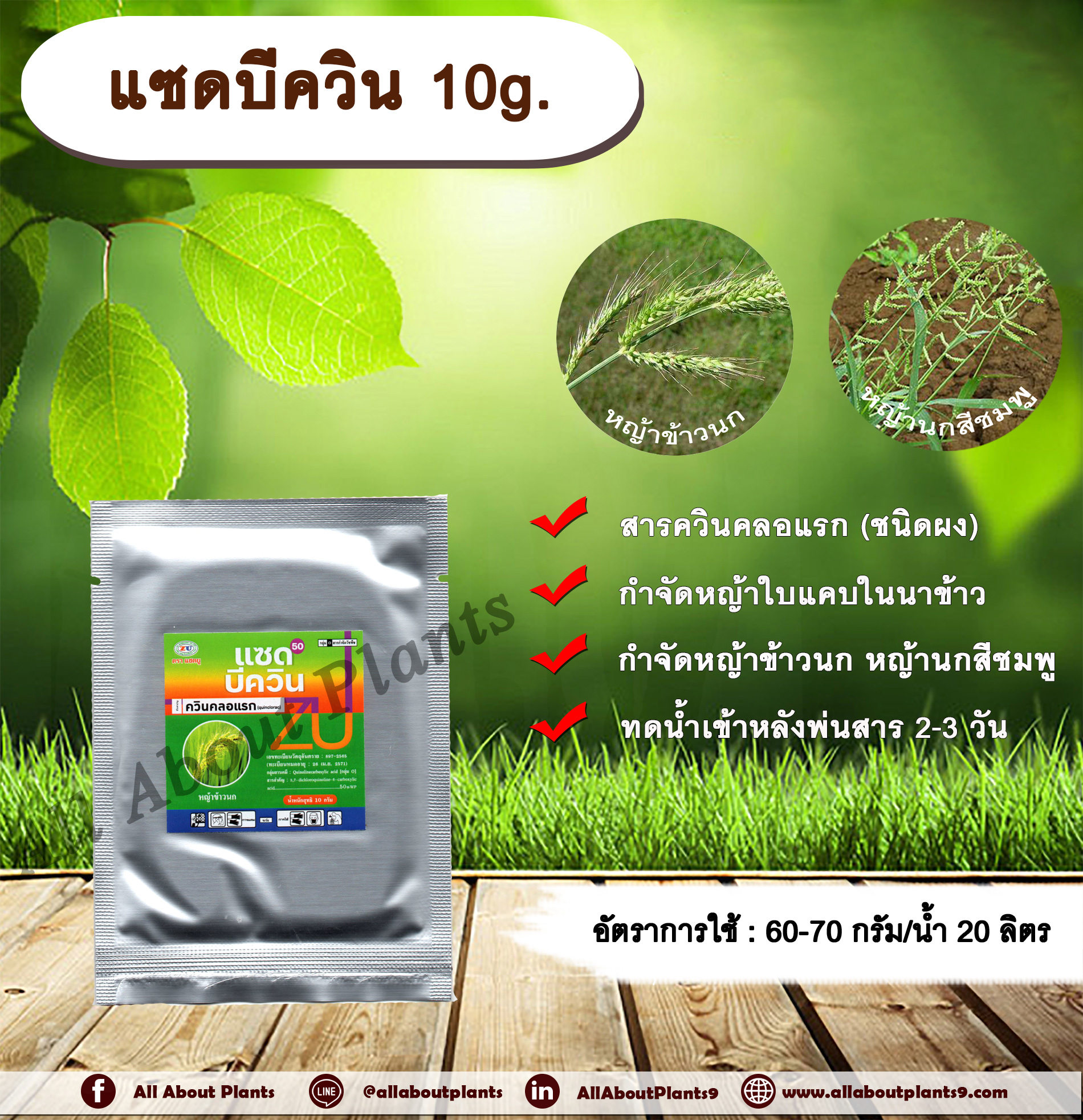 แซดบีควิน 10g. ควินคลอแรก สารกำจัดวัชพืช กำจัดหญ้า ในนาข้าว หญ้าข้าวนก หญ้านกสีชมพู ชิ้น