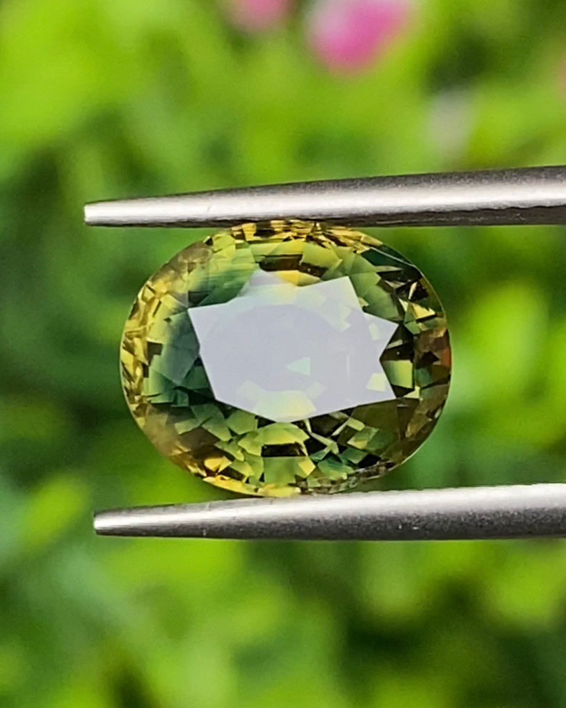 พลอย แซฟไฟร์ 2 สี Bi-Color Sapphire 5.59 กะรัต (Cts.) พร้อมใบเซอร์ พลอยแท้ อัญมณีมงคลประจําวันเกิด เครื่องประดับพลอย